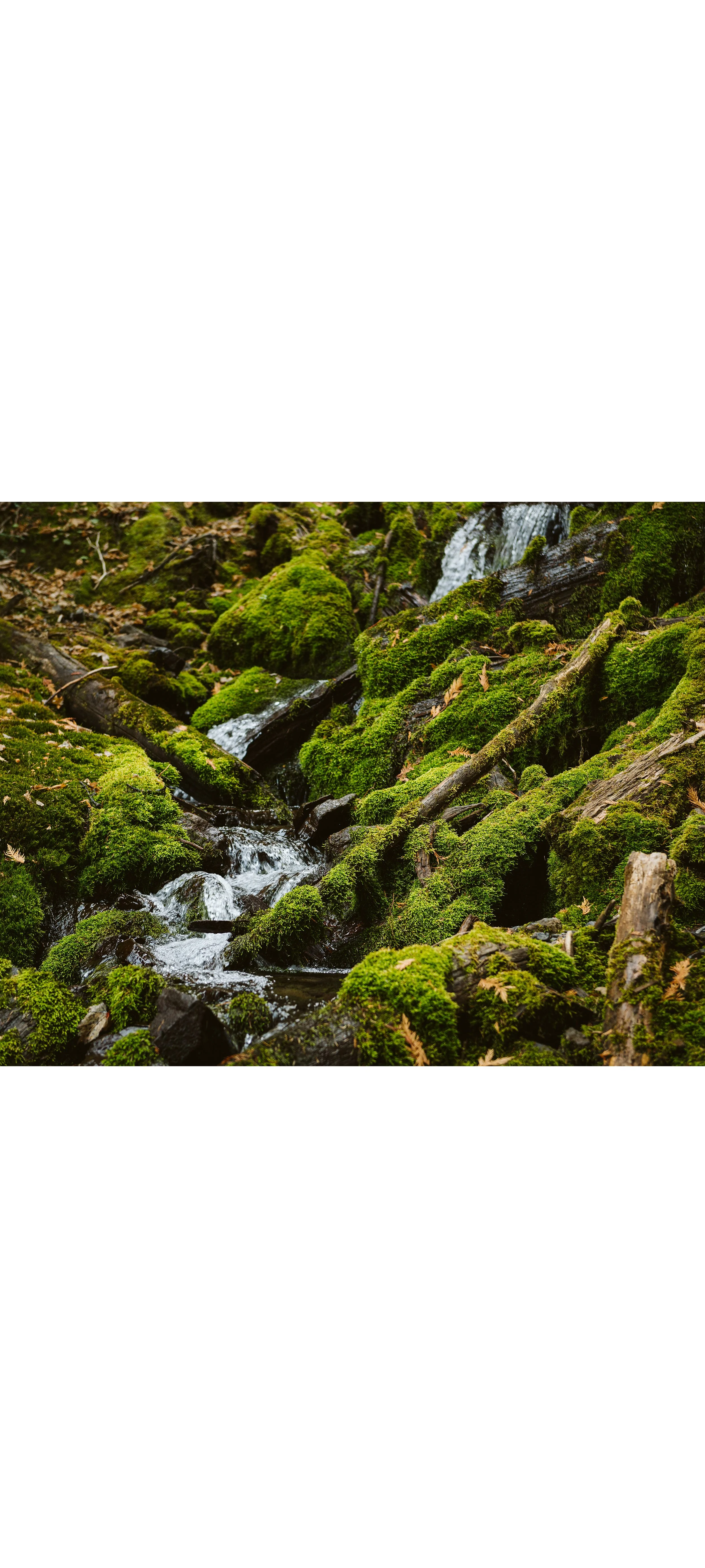 2024 Jumping Waters Charne Baird Photography Commercial Photographer.jpg
