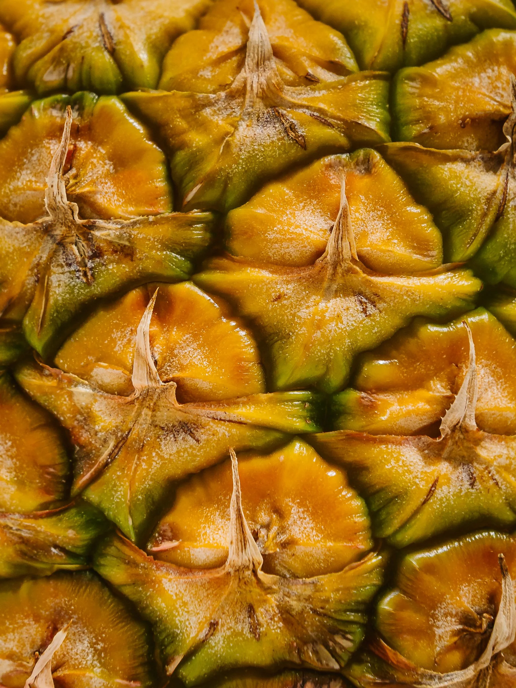 Charné Baird Photography - Commercial Photography - Food Photography - Macro Photography - Advertising Photographer - Pineapple - Pineapple Skin