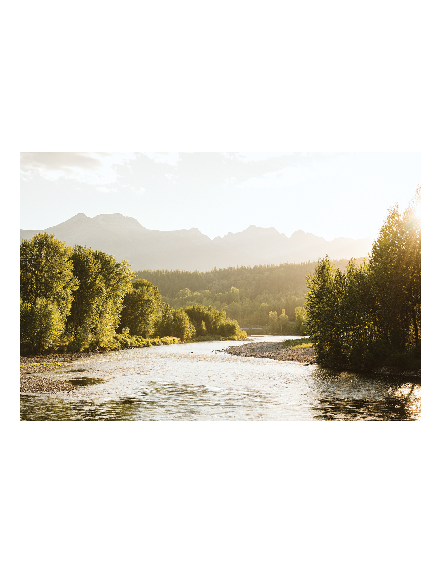 Elk River Sunset Fernie Postcard by Charne Baird Photography Commercial Photographer Canada