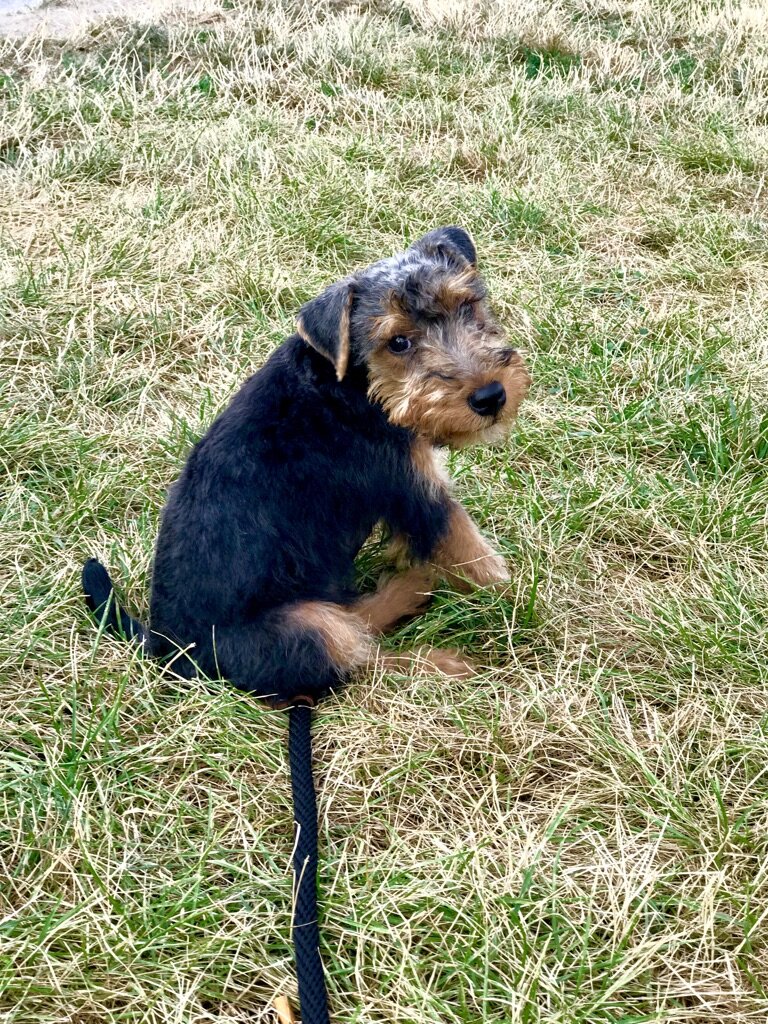 First Walk