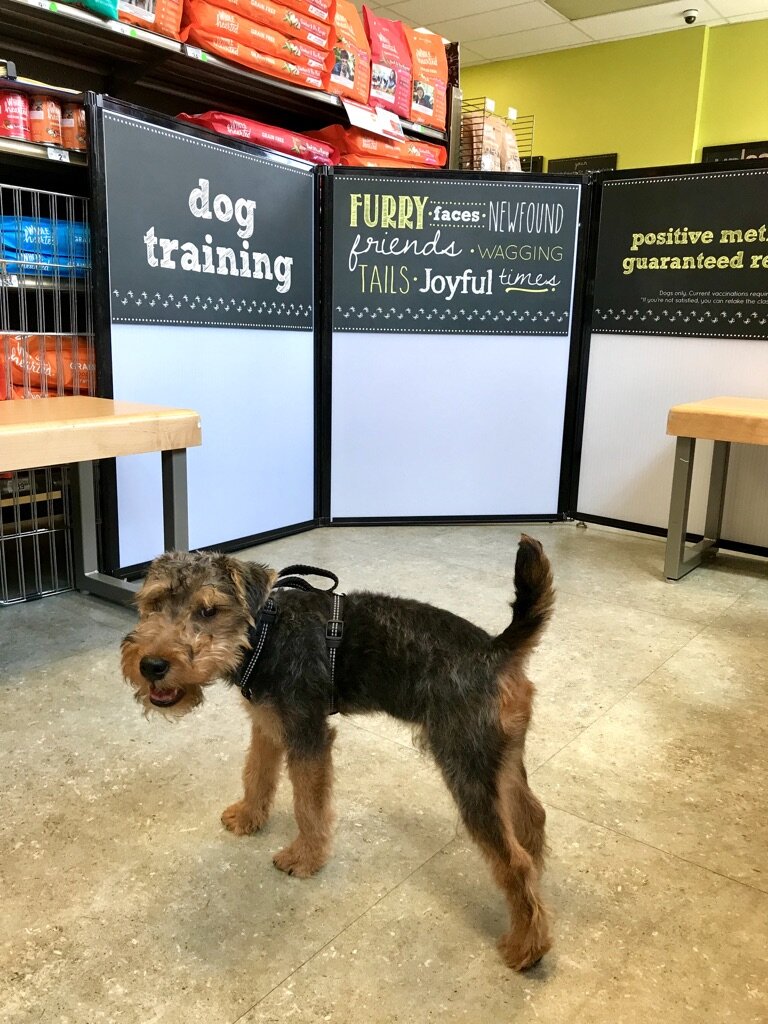 Training Class
