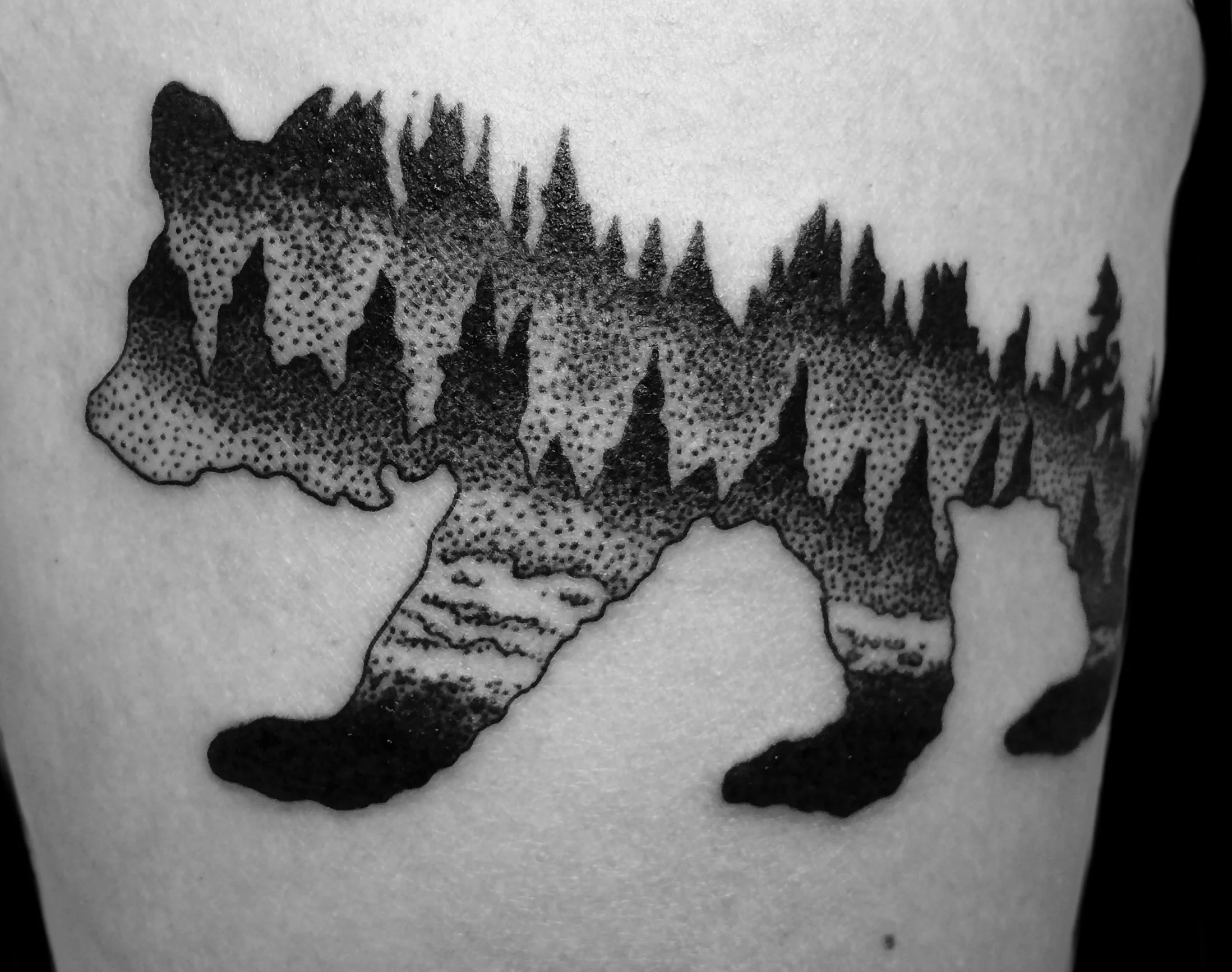 Bear  with landscape