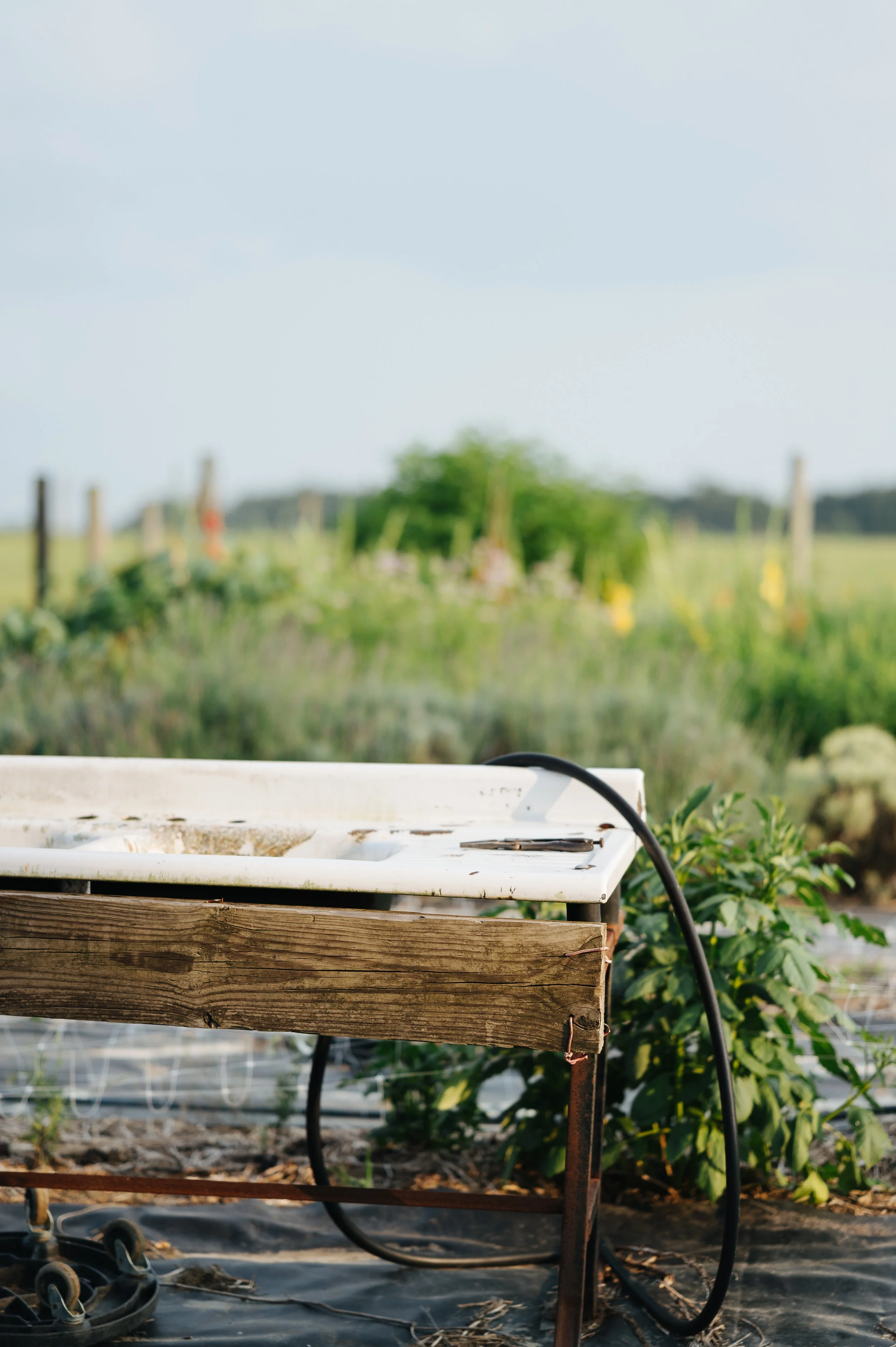 cwsfarm-29.jpg