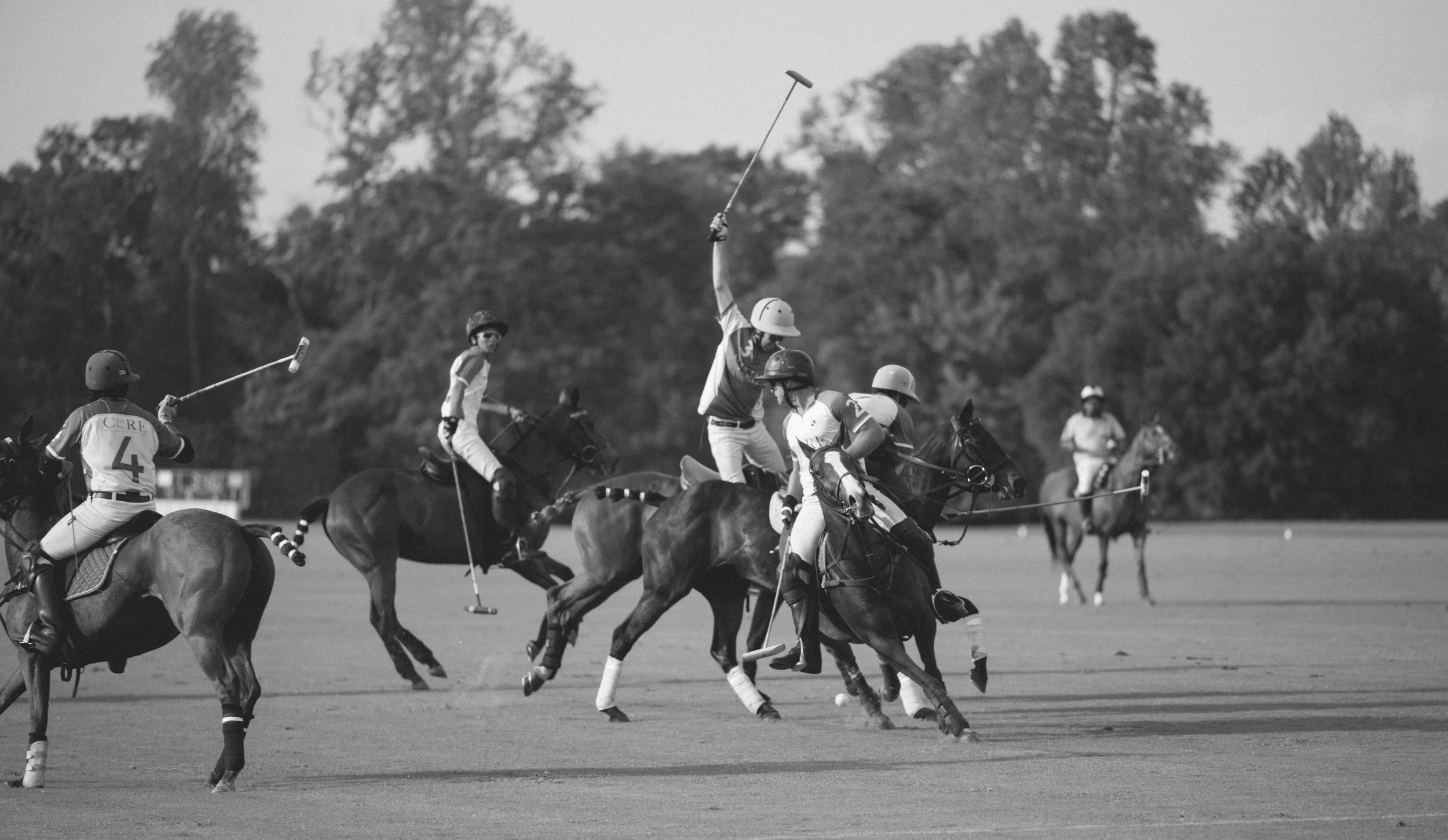 polo 4-25-5.jpg