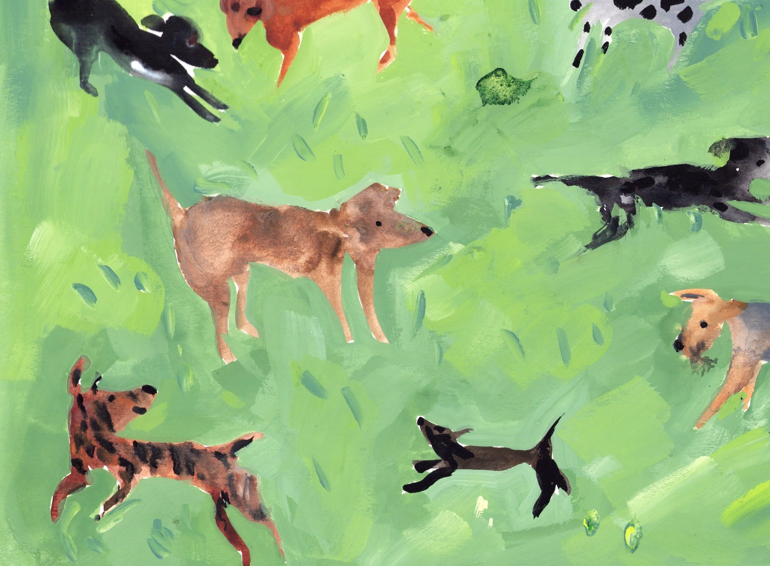 detail_dogpark2.jpg
