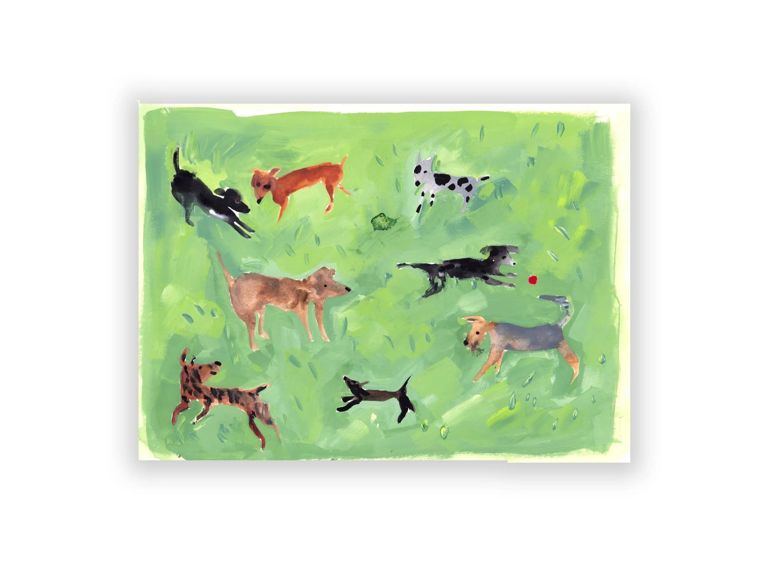 dogpark=smaller.jpg