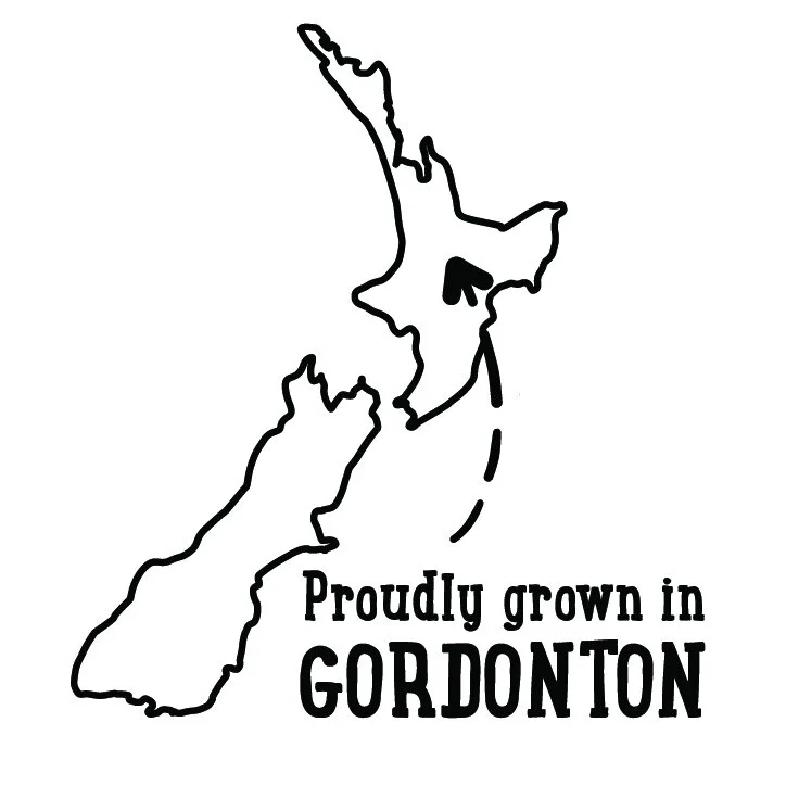 GORDONTON-02.jpg