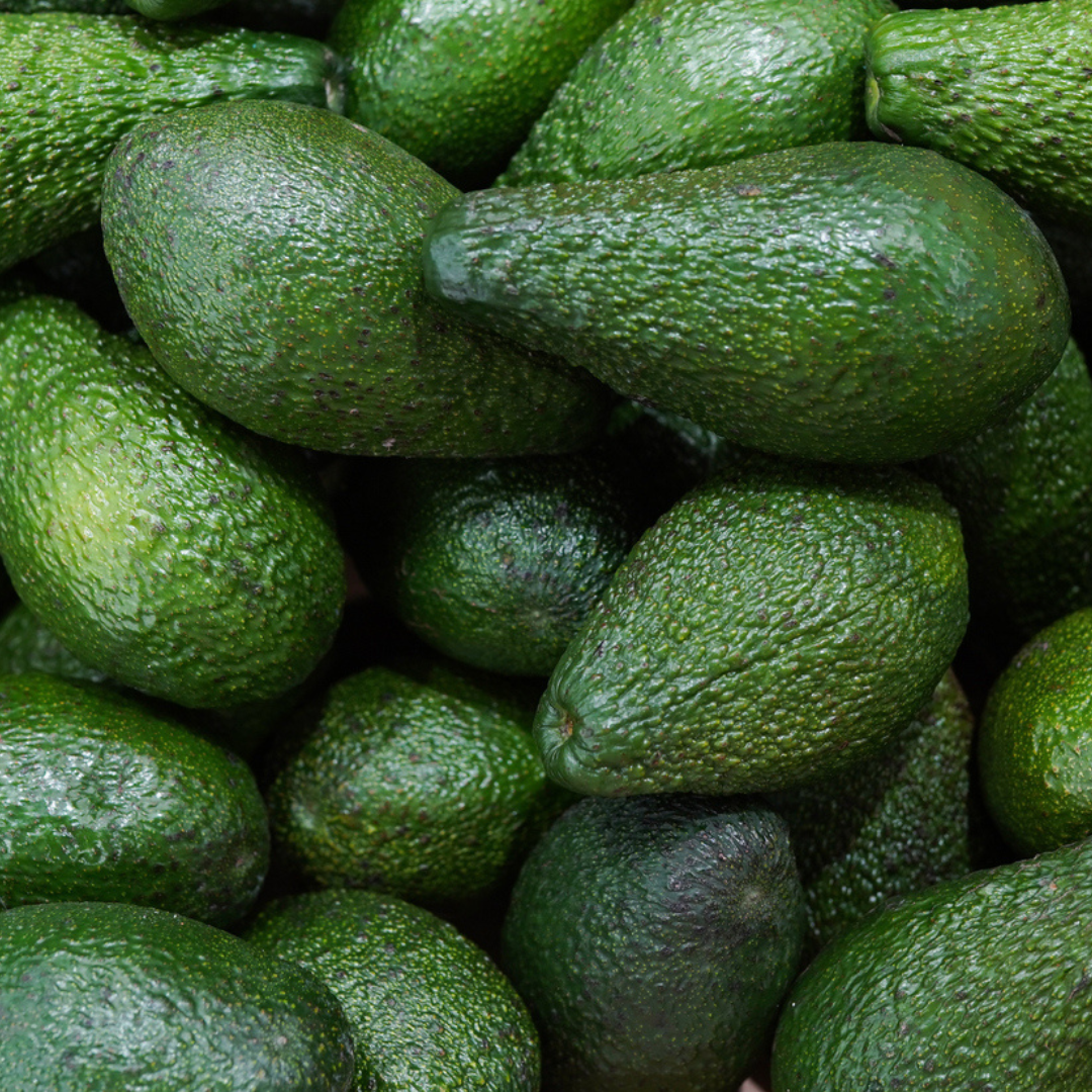 Avocado Subscription Box