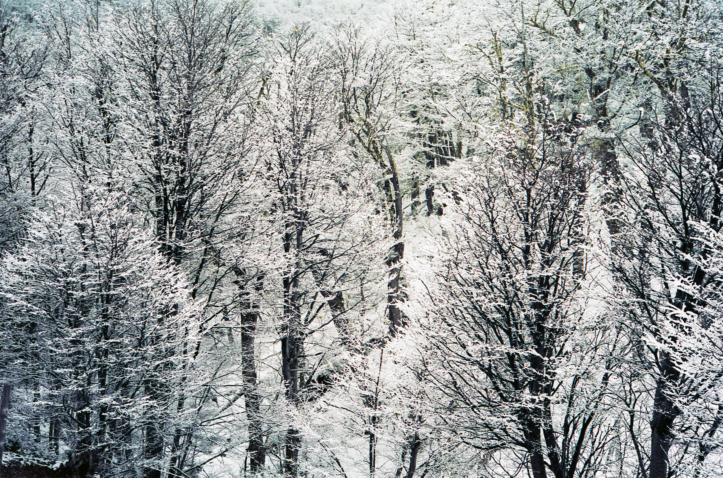 fer_parra_patagonia_filmphotography_landscapephotography_leicam6_kodakportra_02.jpg