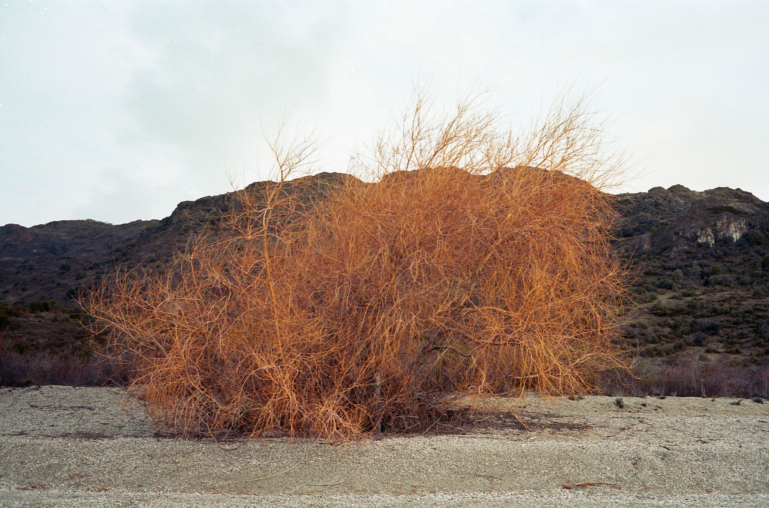 fer_parra_patagonia_filmphotography_landscapephotography_leicam6_kodakportra_06.jpg