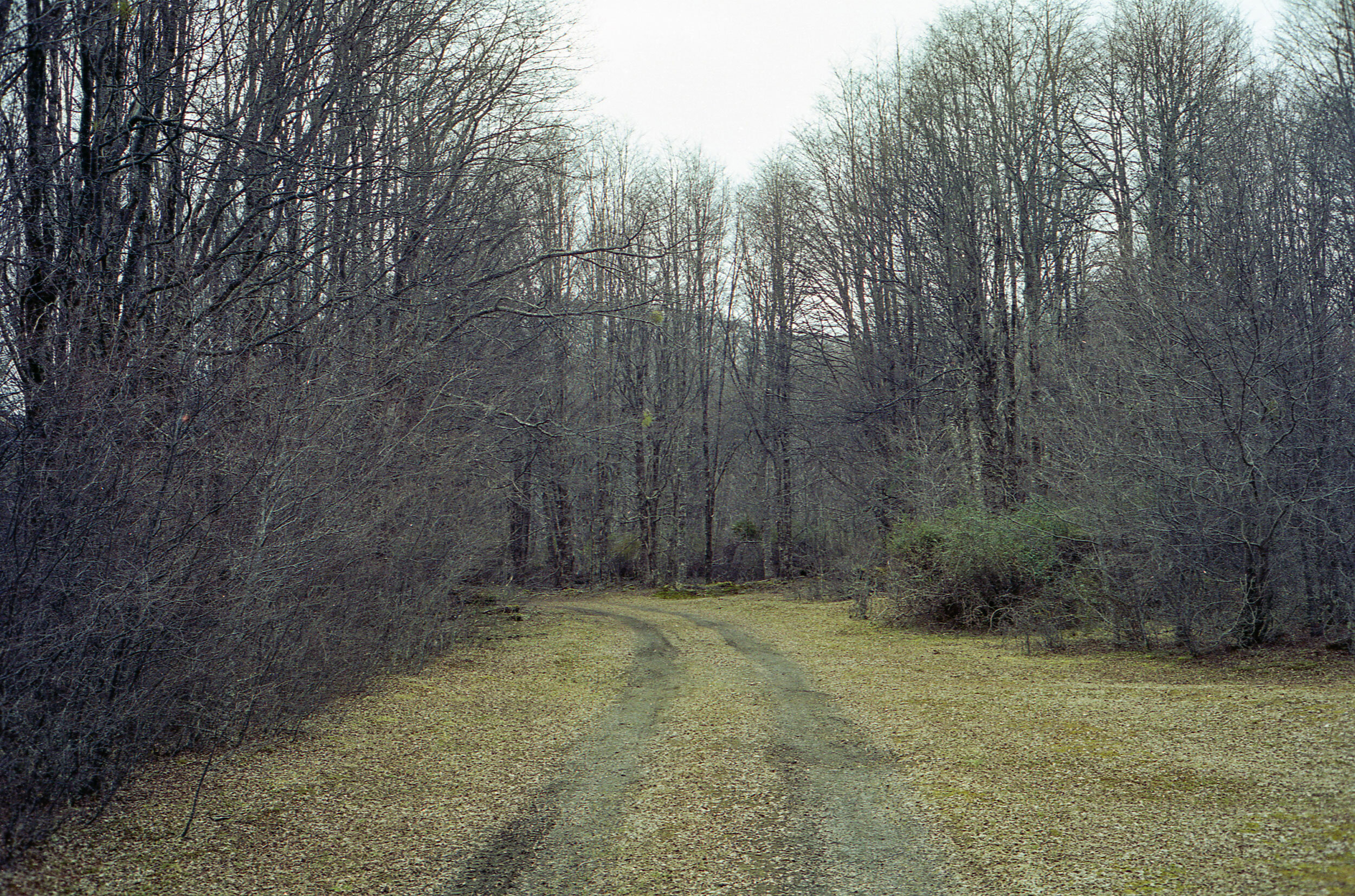 fer_parra_patagonia_filmphotography_landscapephotography_leicam6_kodakportra_08.jpg