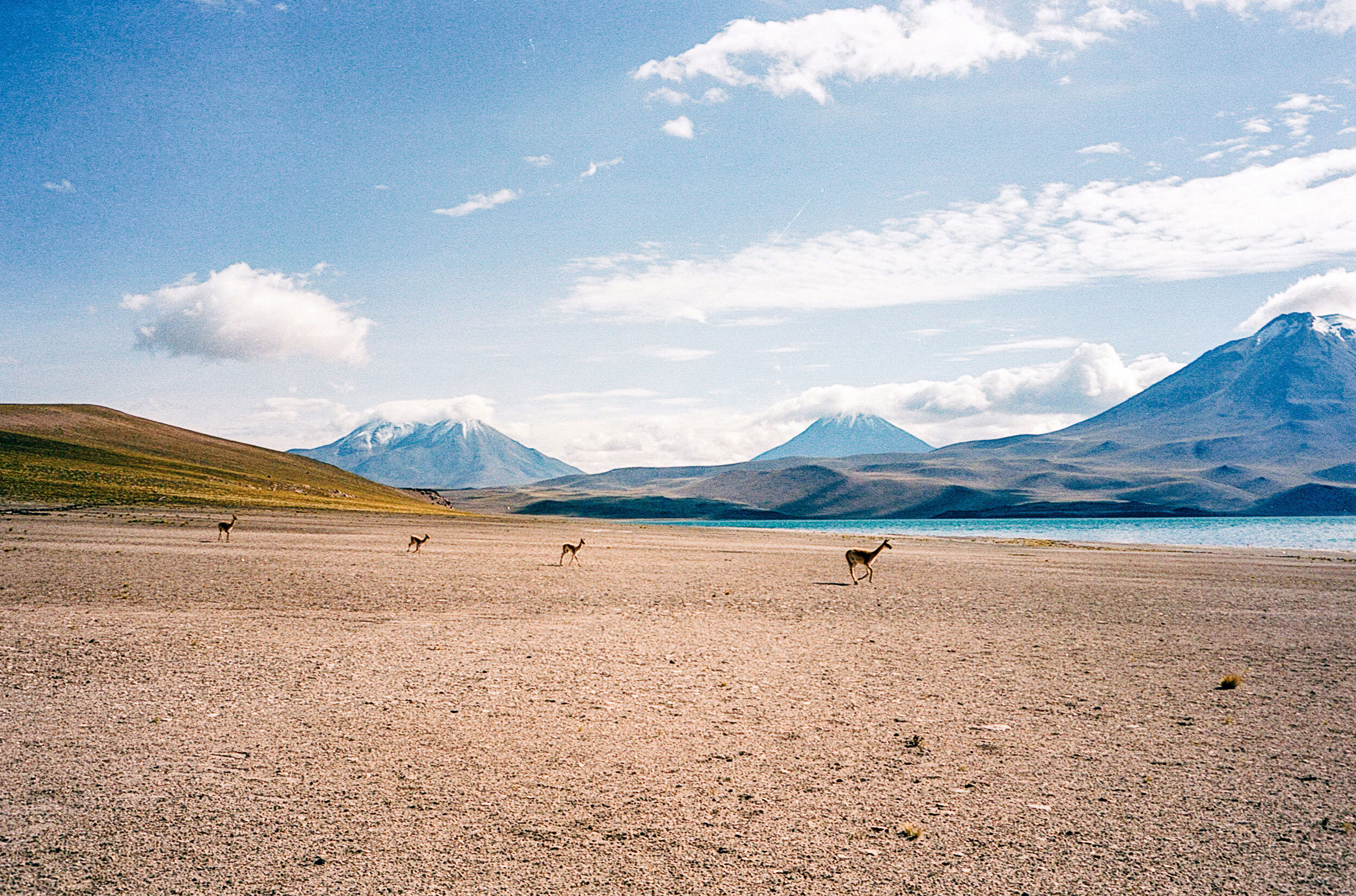fer_parra_patagonia_filmphotography_landscapephotography_leicam6_kodakportra_17.jpg