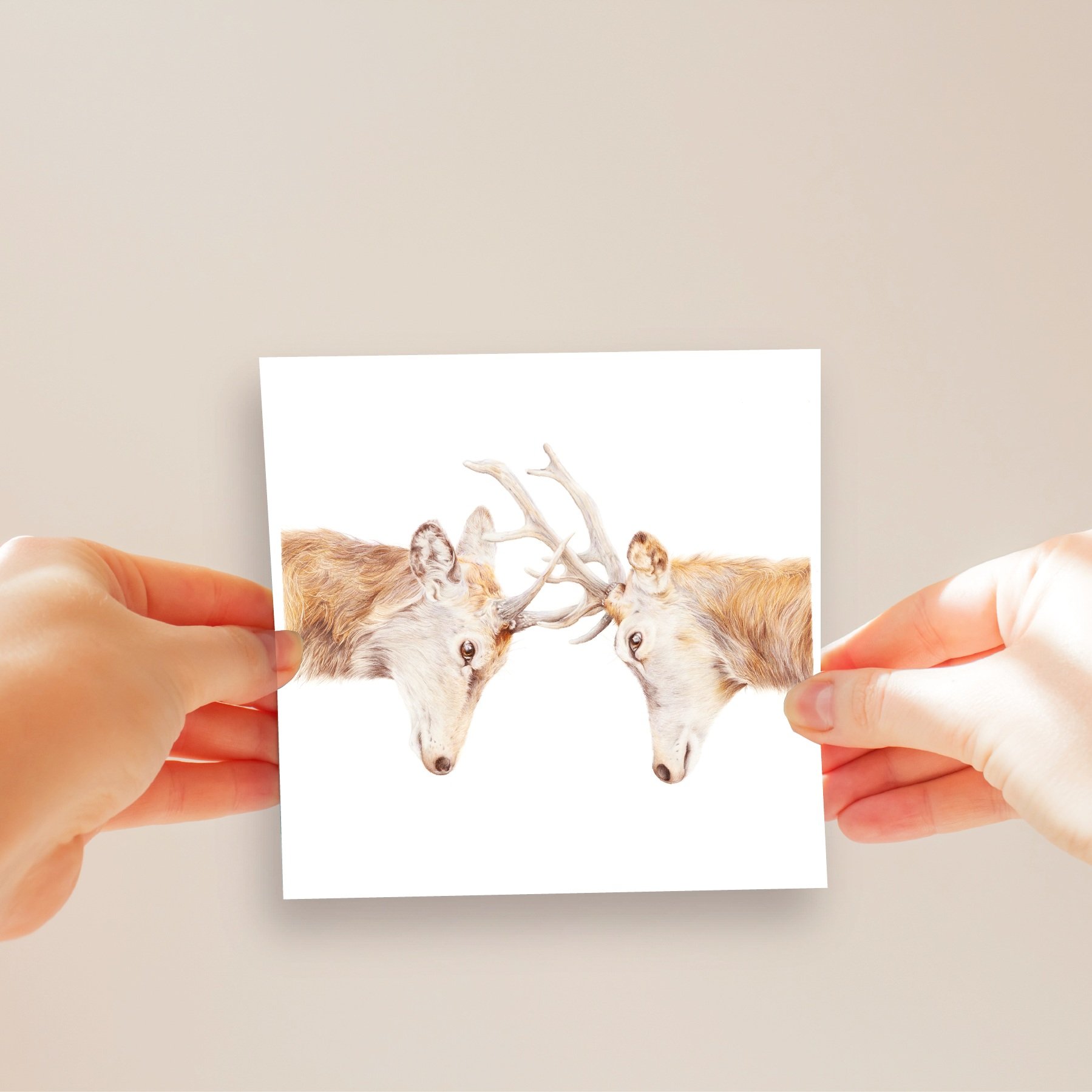 Stags+Card+.jpg