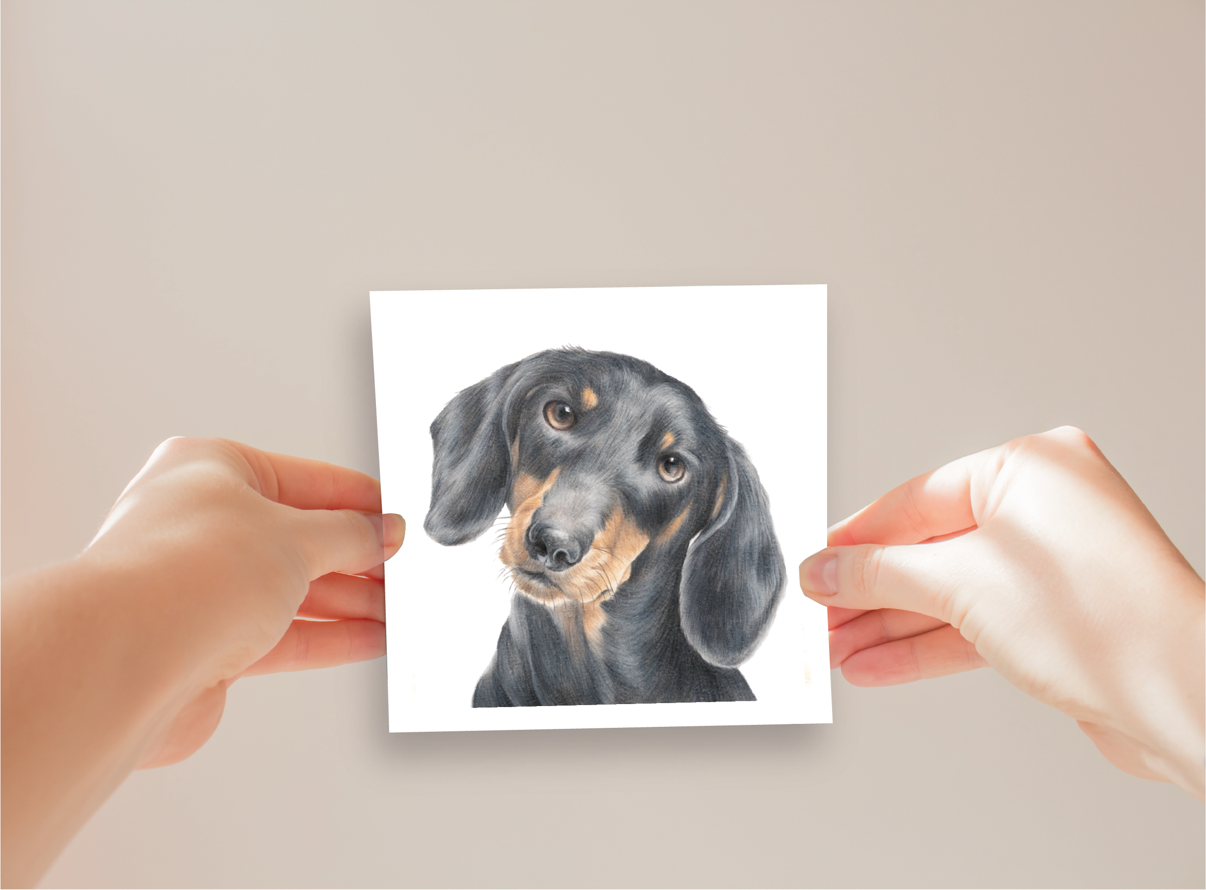Dachshund Greeting Card