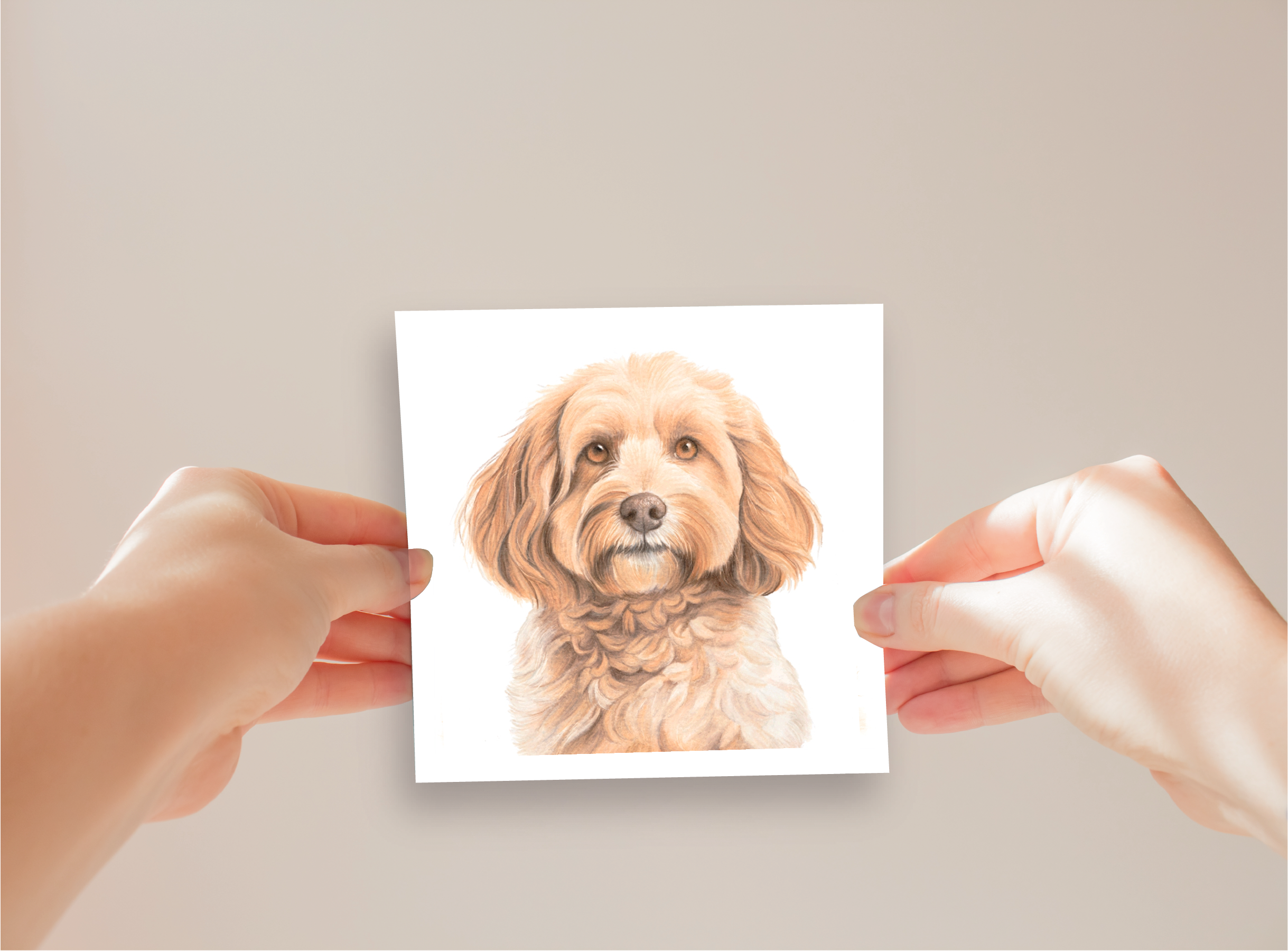 Cockerpoo Greeting Card