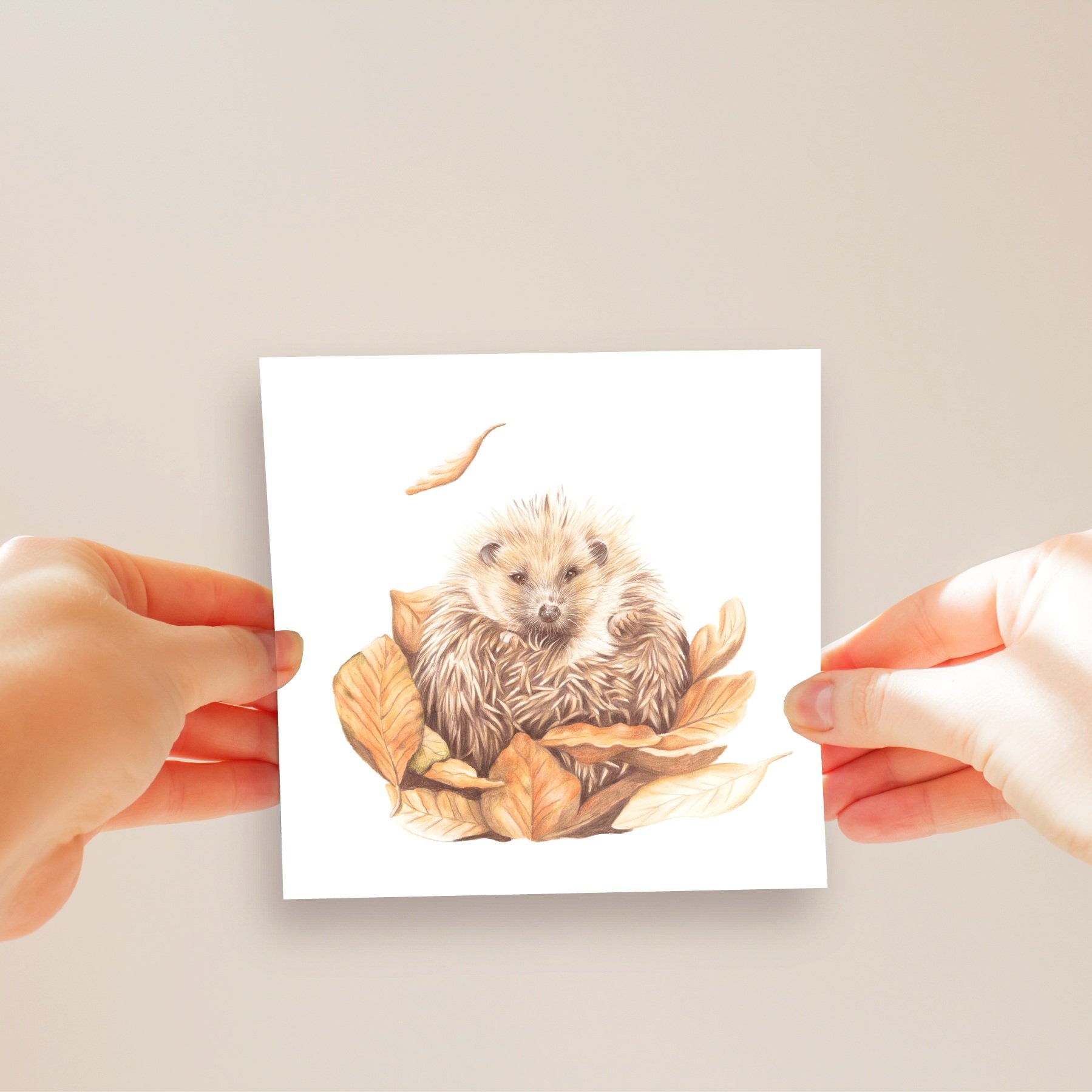 Hedgehog+Card.jpg