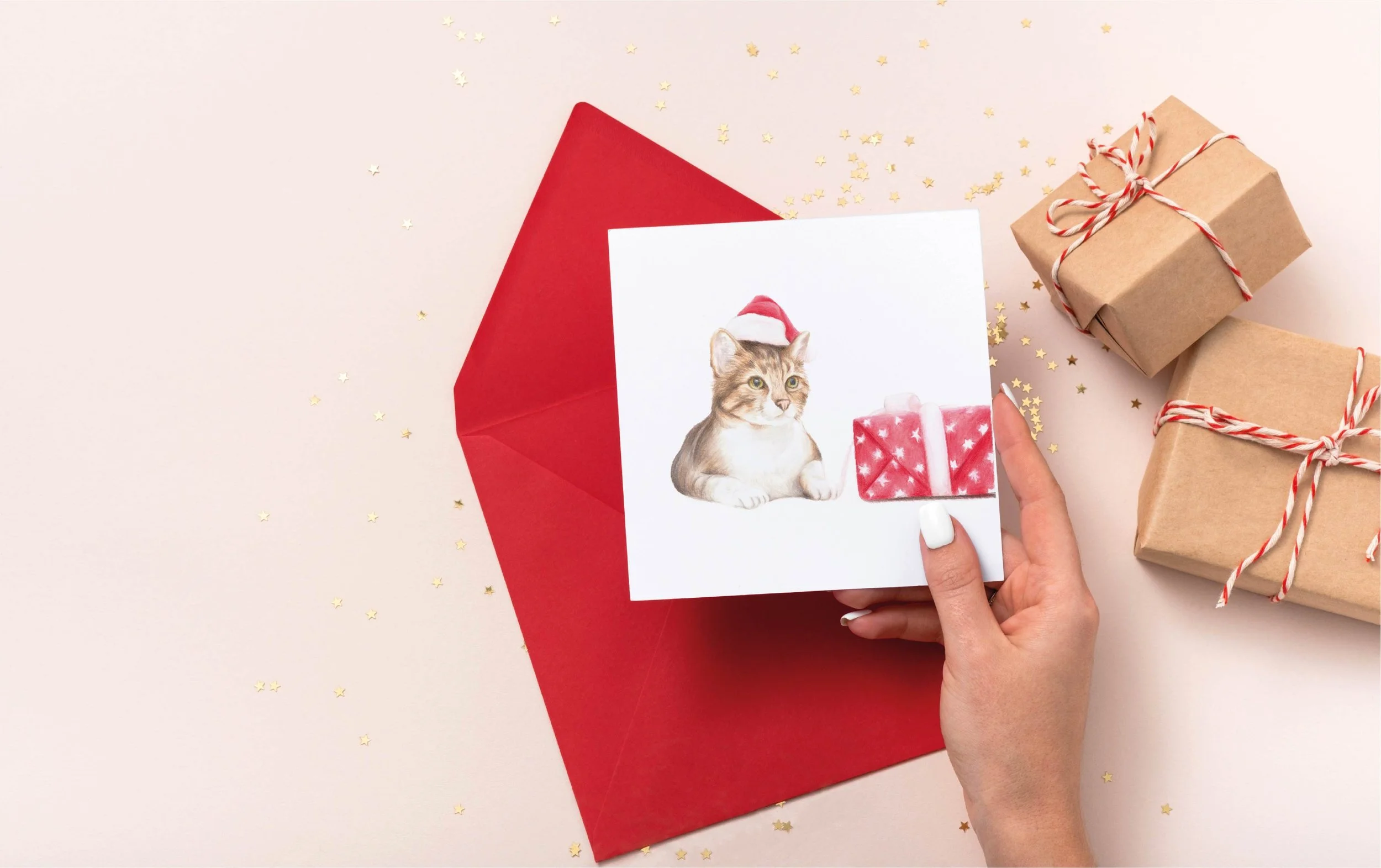 The Festive Catch