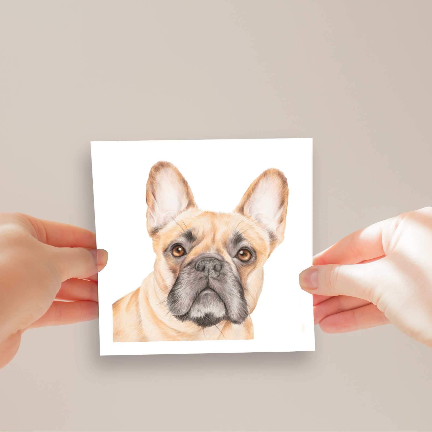 Frenchie+Card.png