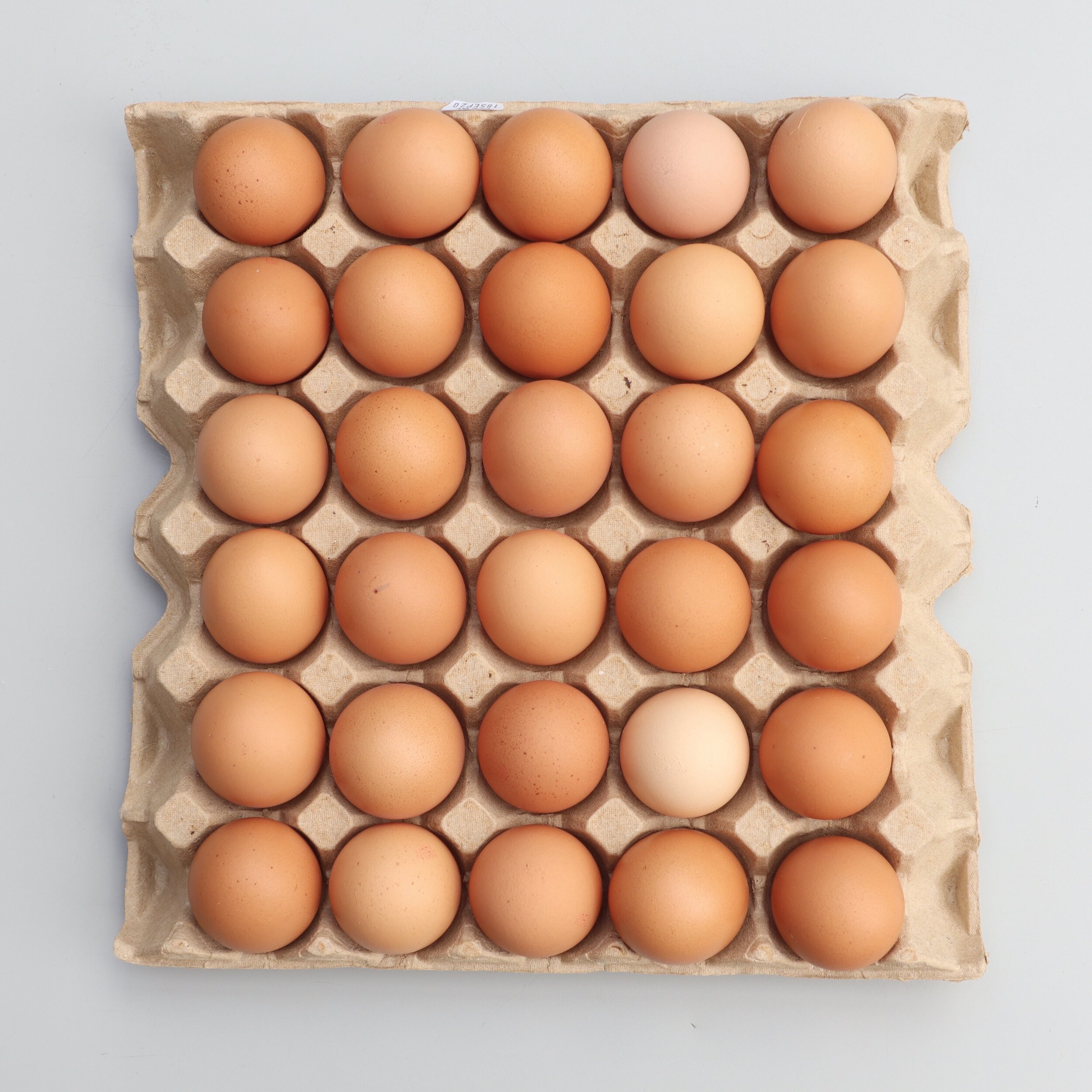 FREE RANGE EGGS