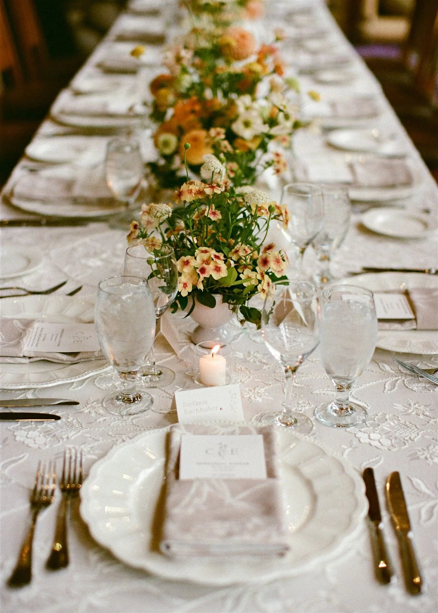 C&E Previews-3_websize.jpg