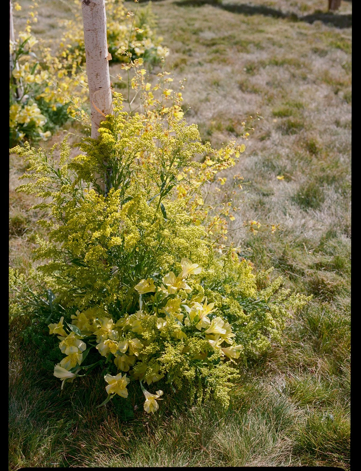 lottie and noah wedding-326_websize.jpg