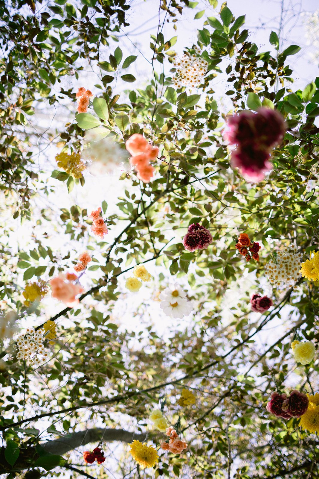 bloom-theory-styled-june-93_websize.jpg