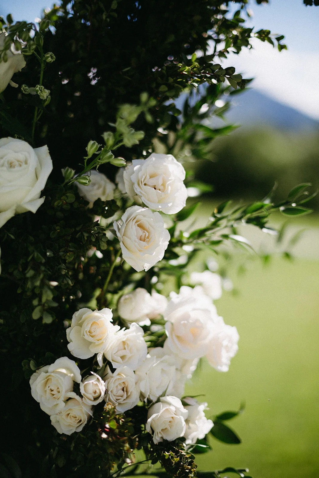 abbi-grady-trailcreek-wedding-419.jpg