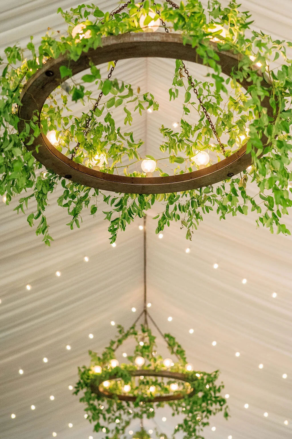 VanAckerenWedding-495.jpg