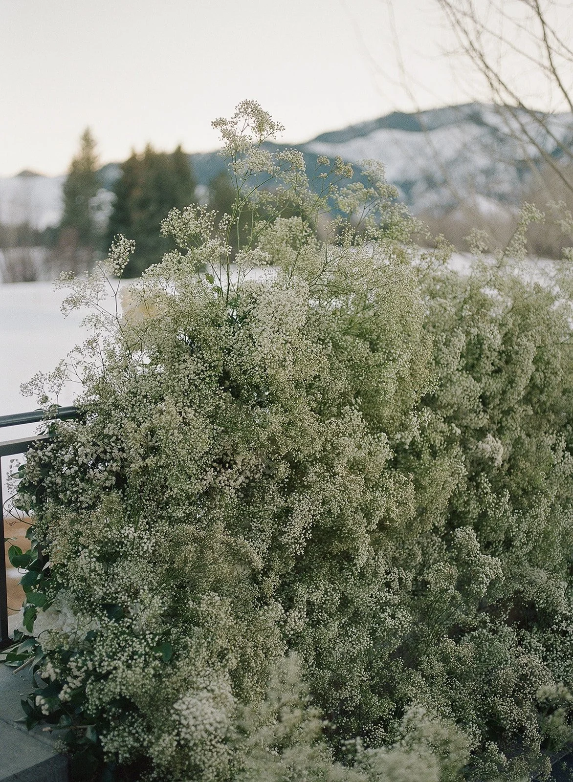 Erinn + Gordy Wedding Sneak Peeks-62.jpg