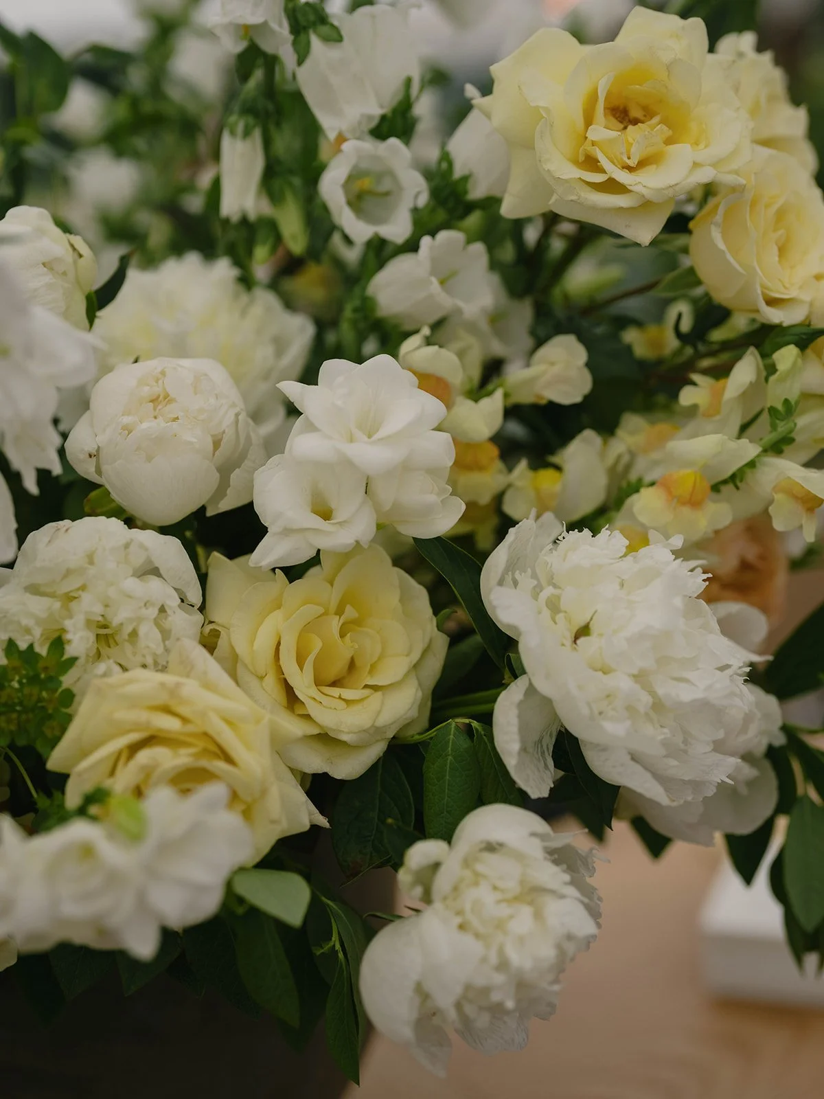 Sean Thomas Photography - Ella_Jake_Reception-96.jpg