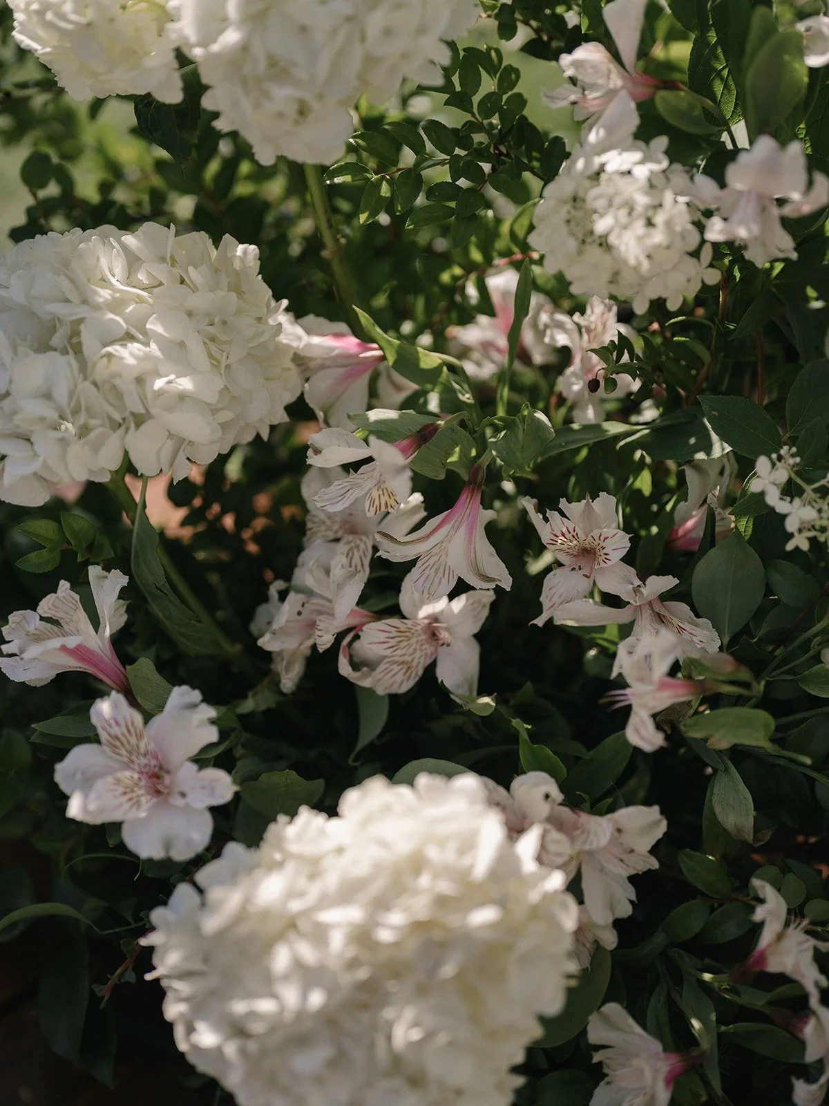 Winnie + Nat Wedding - Ceremony-21.jpg