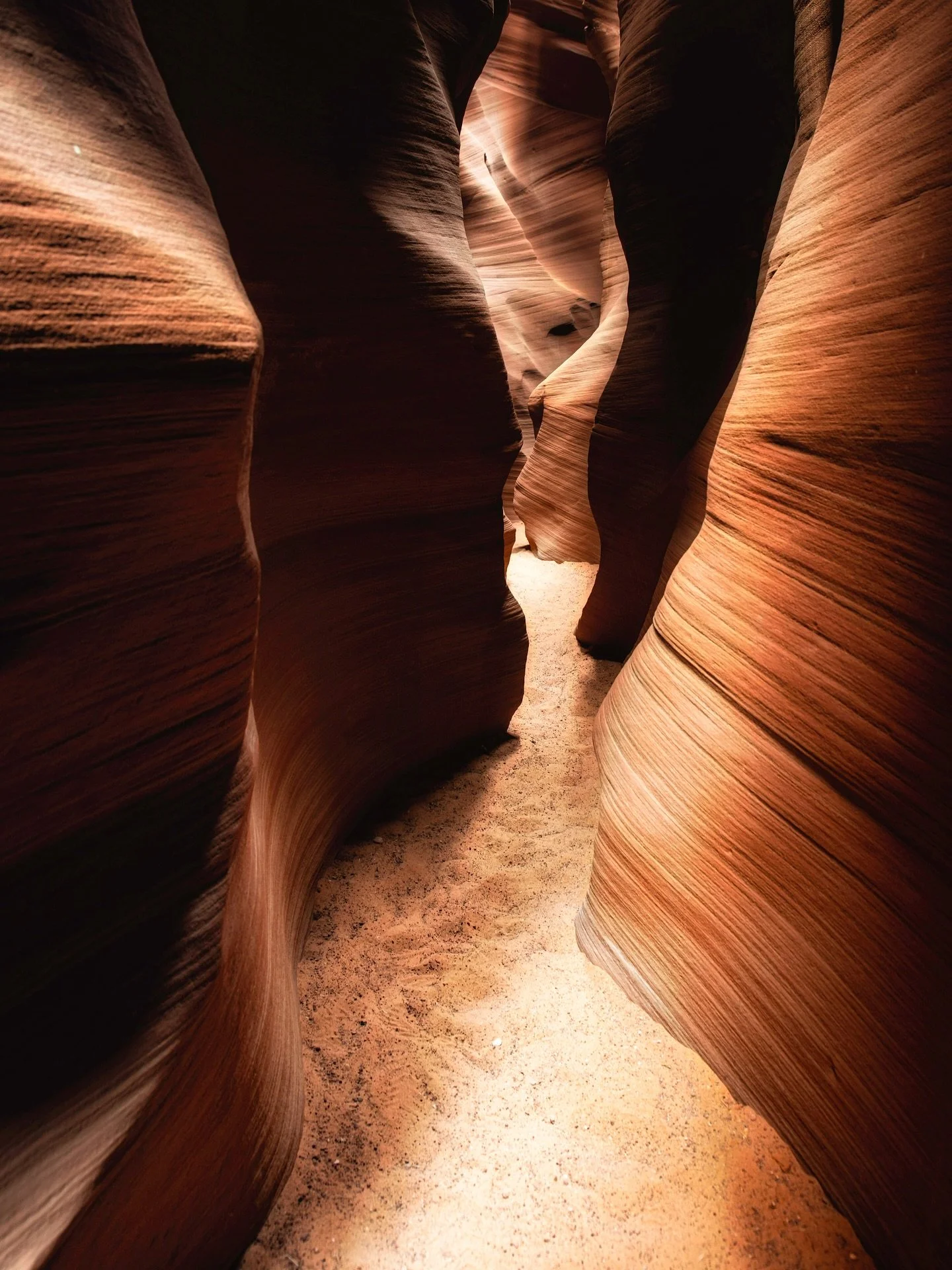 &ldquo;The world is full of peril, and at times our paths feel shadowed and uncertain. Yet even in the darkest valleys, there is still beauty to be found, and love &mdash; quiet, steadfast, growing &mdash; shines brighter through the grief. The light