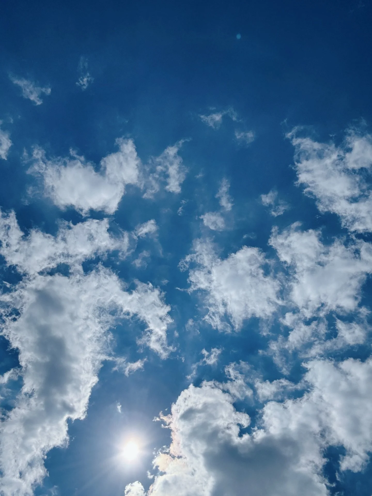 life lately 🌿☀️🌸

Just little moments from this month. 
Blue skies that feel like a breath of fresh air. 
Sunshine warming everything back up again. 
Bare feet in the grass. 
Planting things with hope they&rsquo;ll grow.

March has felt like the qu