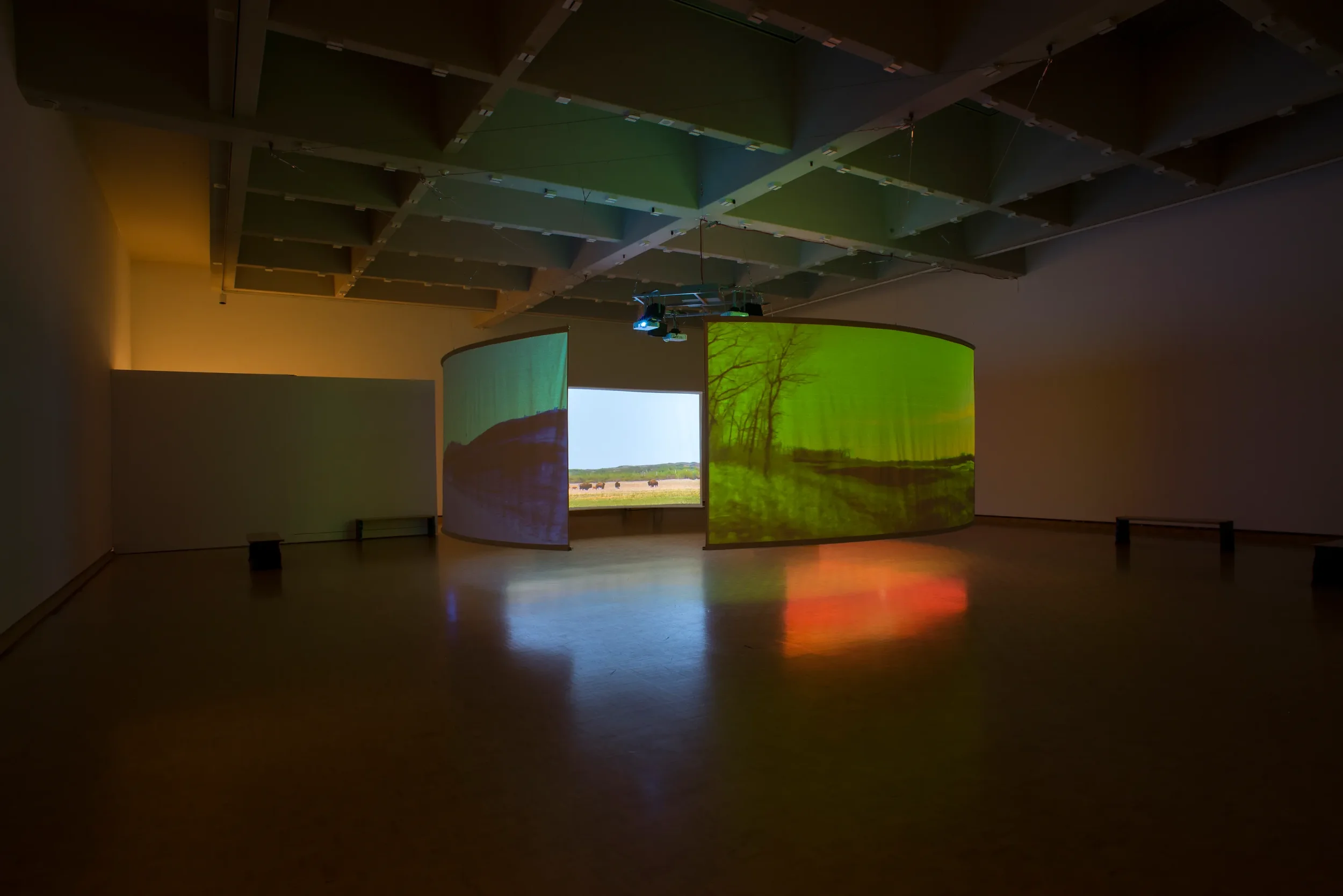 Installation view of "The Sioux Project – Tatanka Oyate," MacKenzie Art Gallery, Regina, SK, 2017. Photo: Don Hall