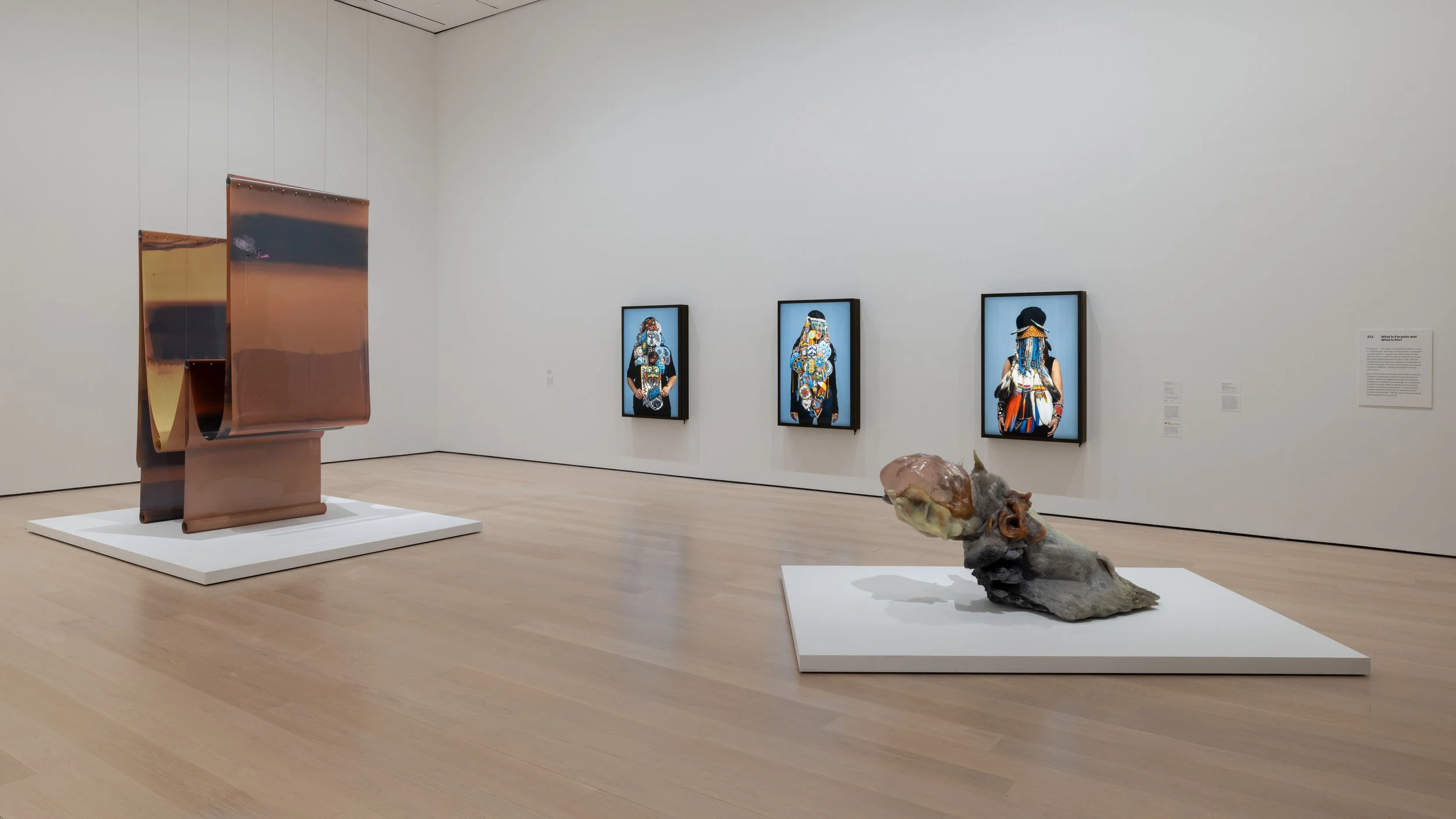 What is Parasite and What is Kin?, Museum of Modern Art, New York, NY – 2025