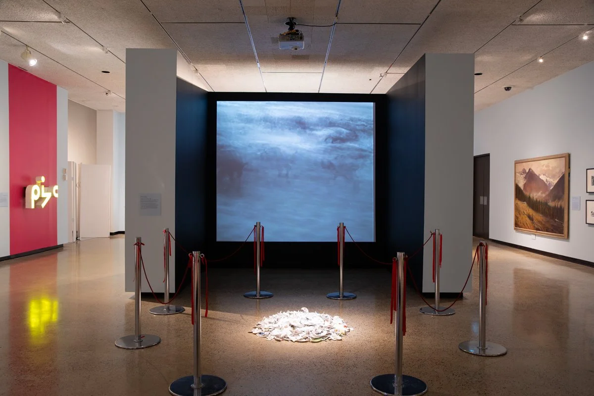 Installation view of "Buffalo Bone China," at "Crying Over Spilt Tea," Winnipeg Art Gallery, Winnipeg MB, 2025. Photo credit: Lianed Marcoleta, courtesy of WAG Qaumajuq.