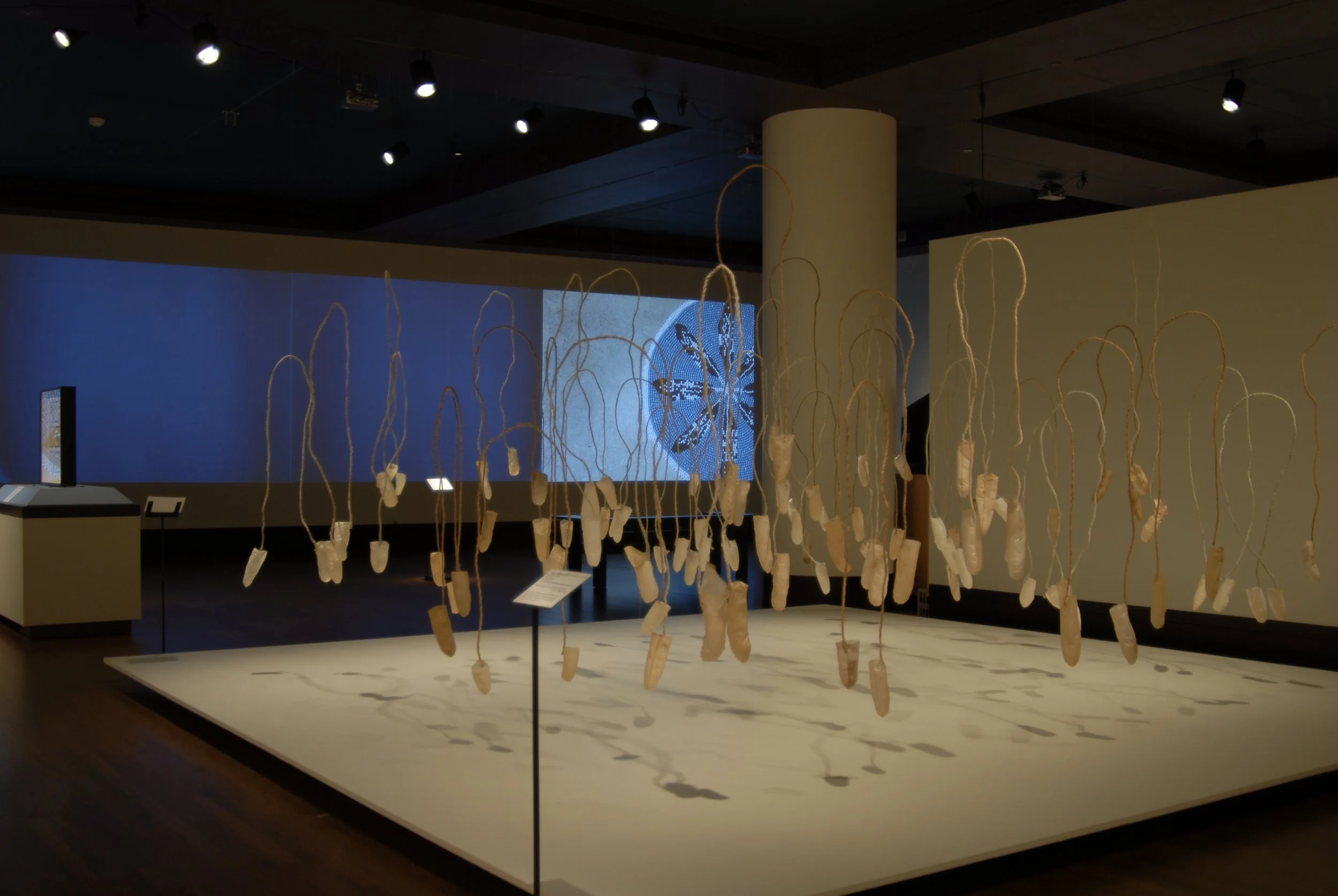 Installation view of "Rattle," at "Diversity and Dialogue: The Eiteljorg Fellowship for Native American Fine Art 2007," Eiteljorg Museum,  Indianapolis IN, 2007.