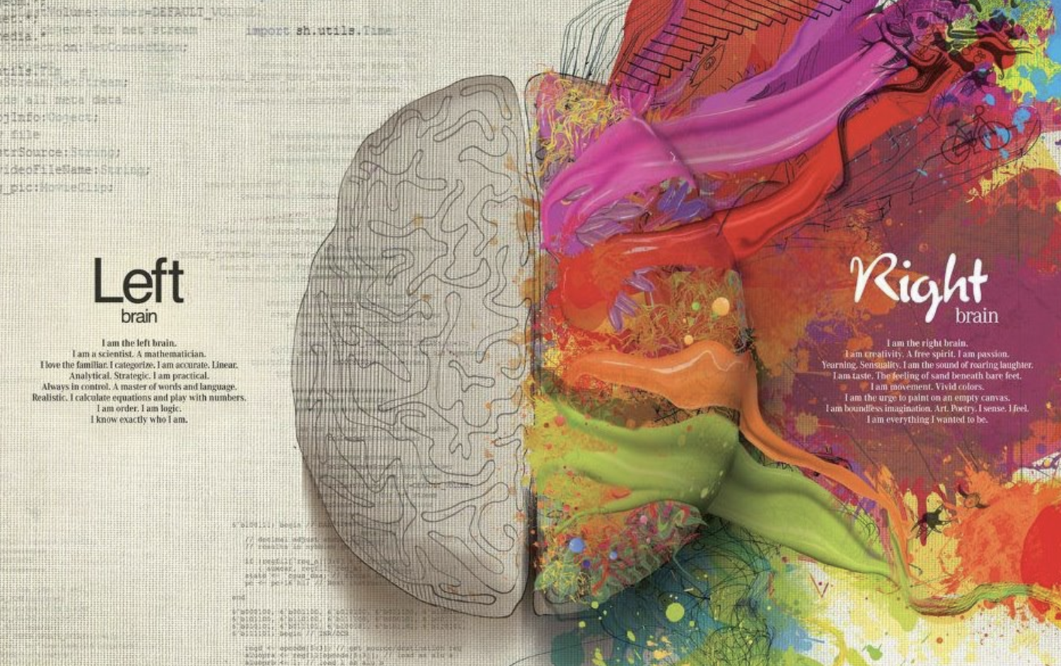 Is Brain Lateralization (Left Brain / Right Brain) A Myth? episode artwork