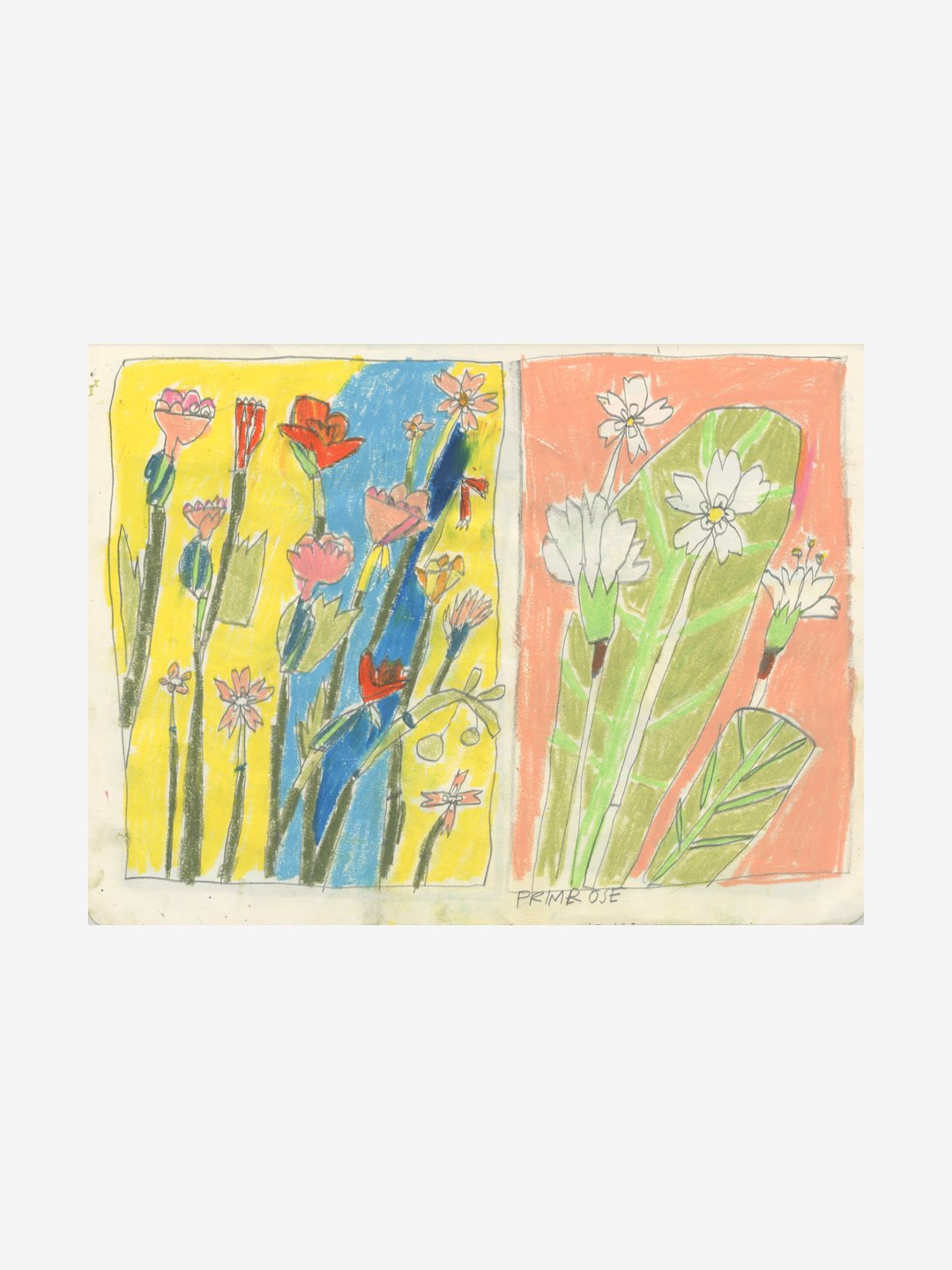 Wax Flowers (#2)