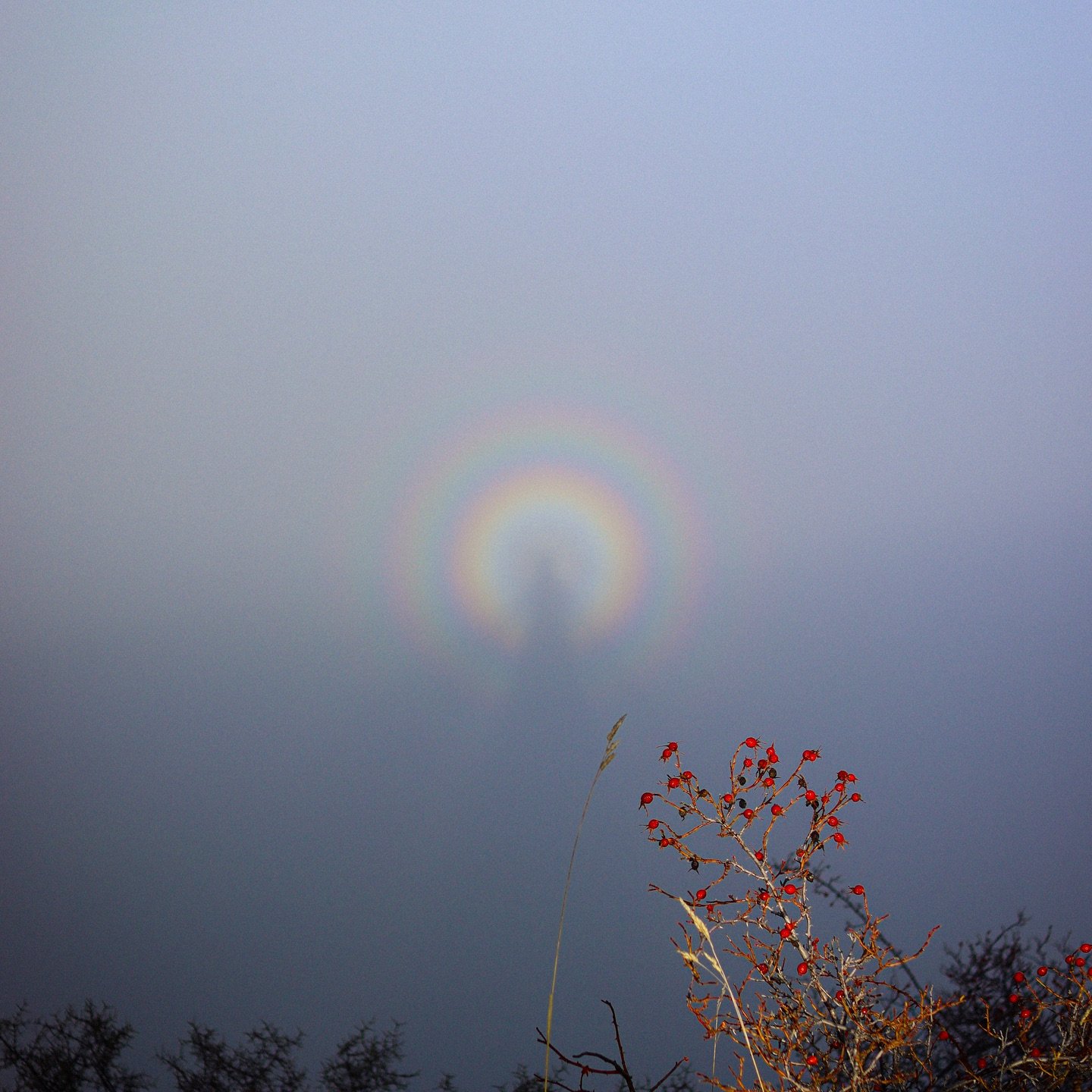 Hope everyone had a lovely nature and family filled Matariki celebration! We got out into the mountains and saw this spherical rainbow. Always in awe of our environment, she&rsquo;s pretty cool ✨🌈