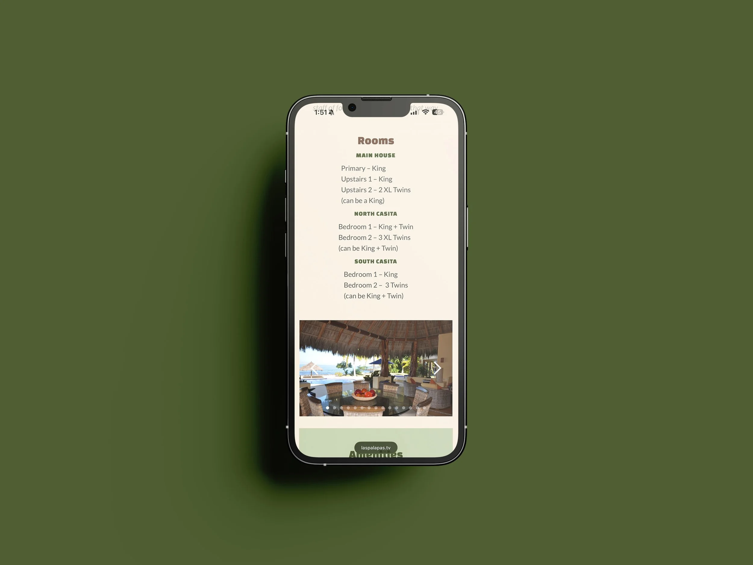 Free_Iphone_13_Pro_Mockup_4.jpg