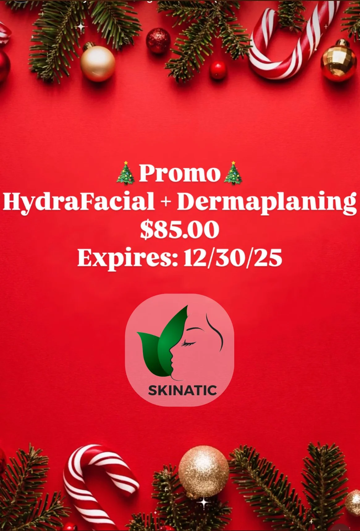Christmas Promo Facial