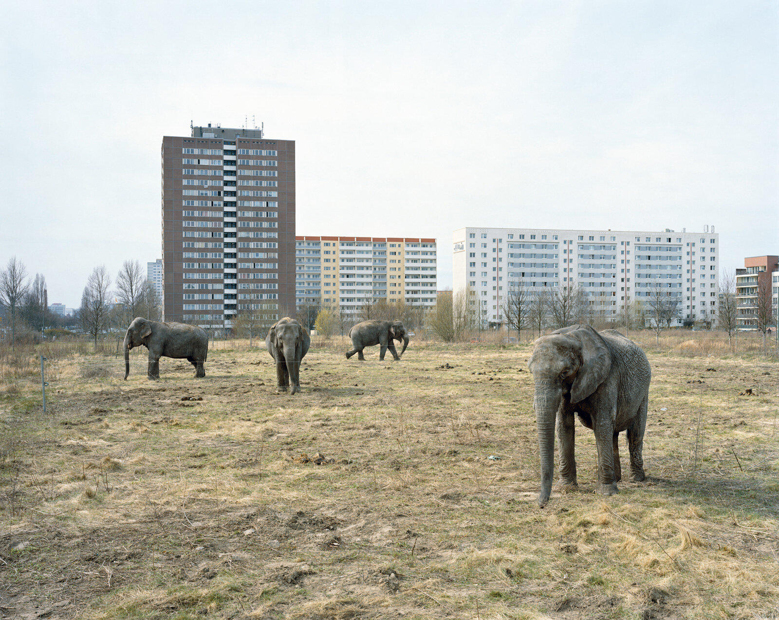  Lichtenberg, Berlin 2008 