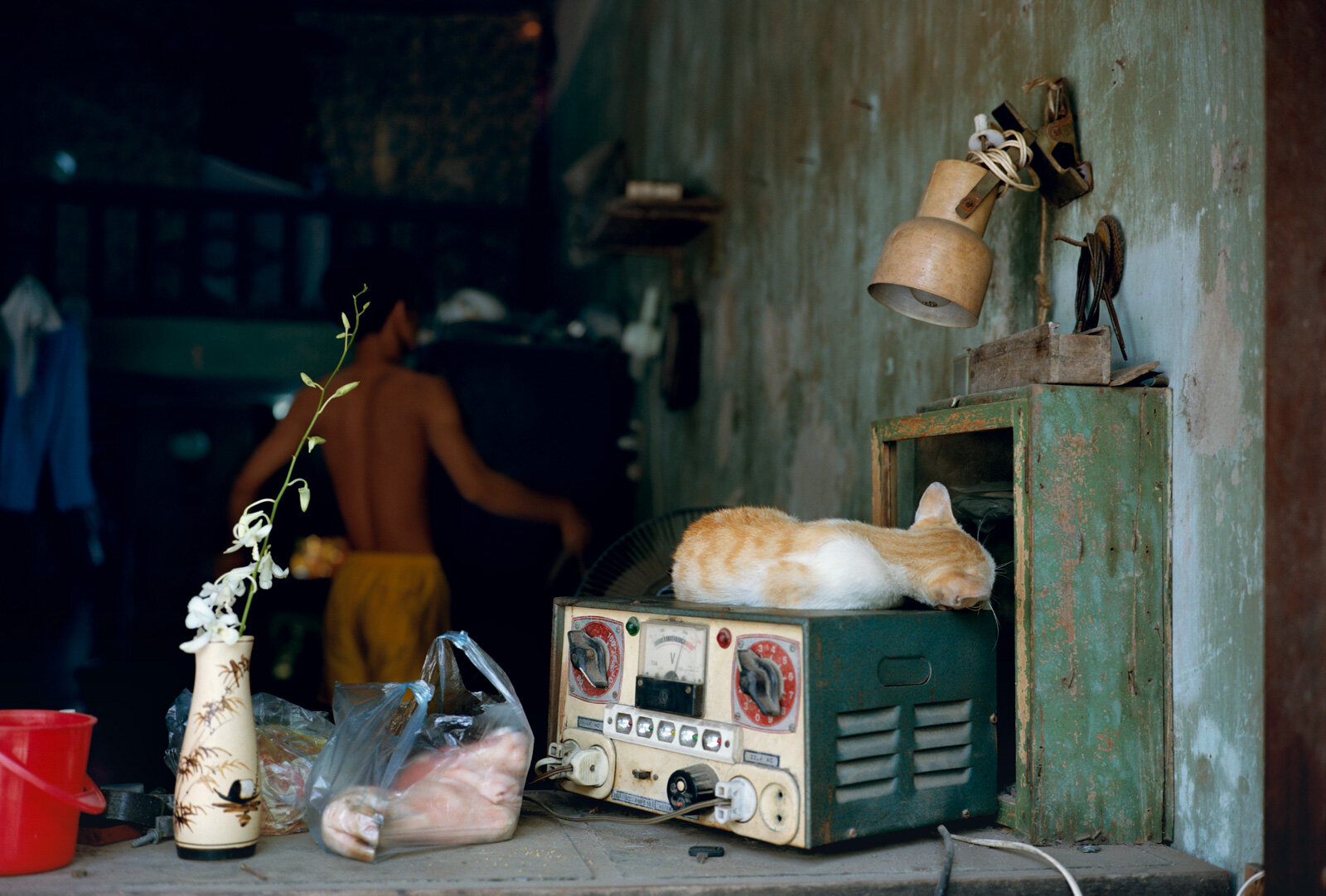  Voltage Regulator and Pig’s Foot, Hanoi, Vietnam 1995 