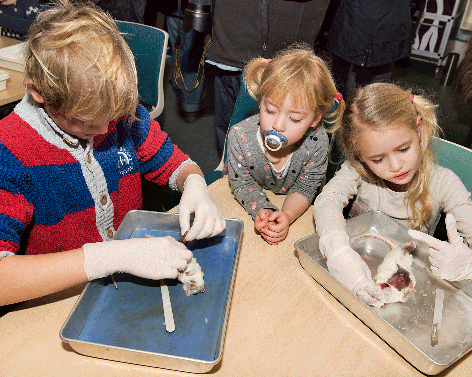  Odense Zoo, Denmark 2016 (The New Yorker) 