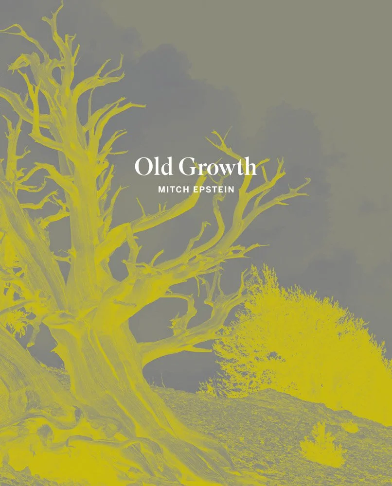 Old Growth