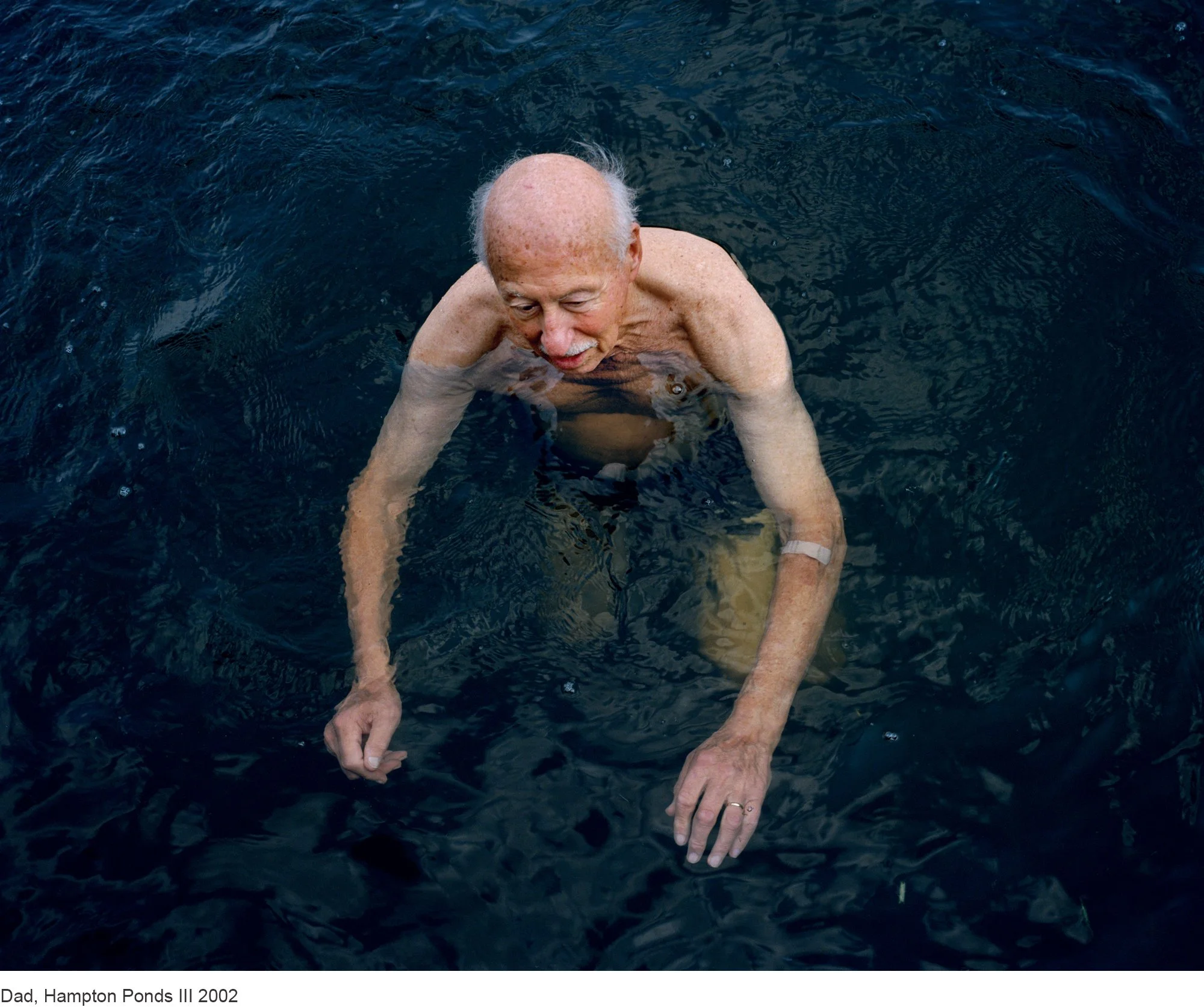 13-Mitch Epstein-Dad, Hampton Ponds III 2002.jpg