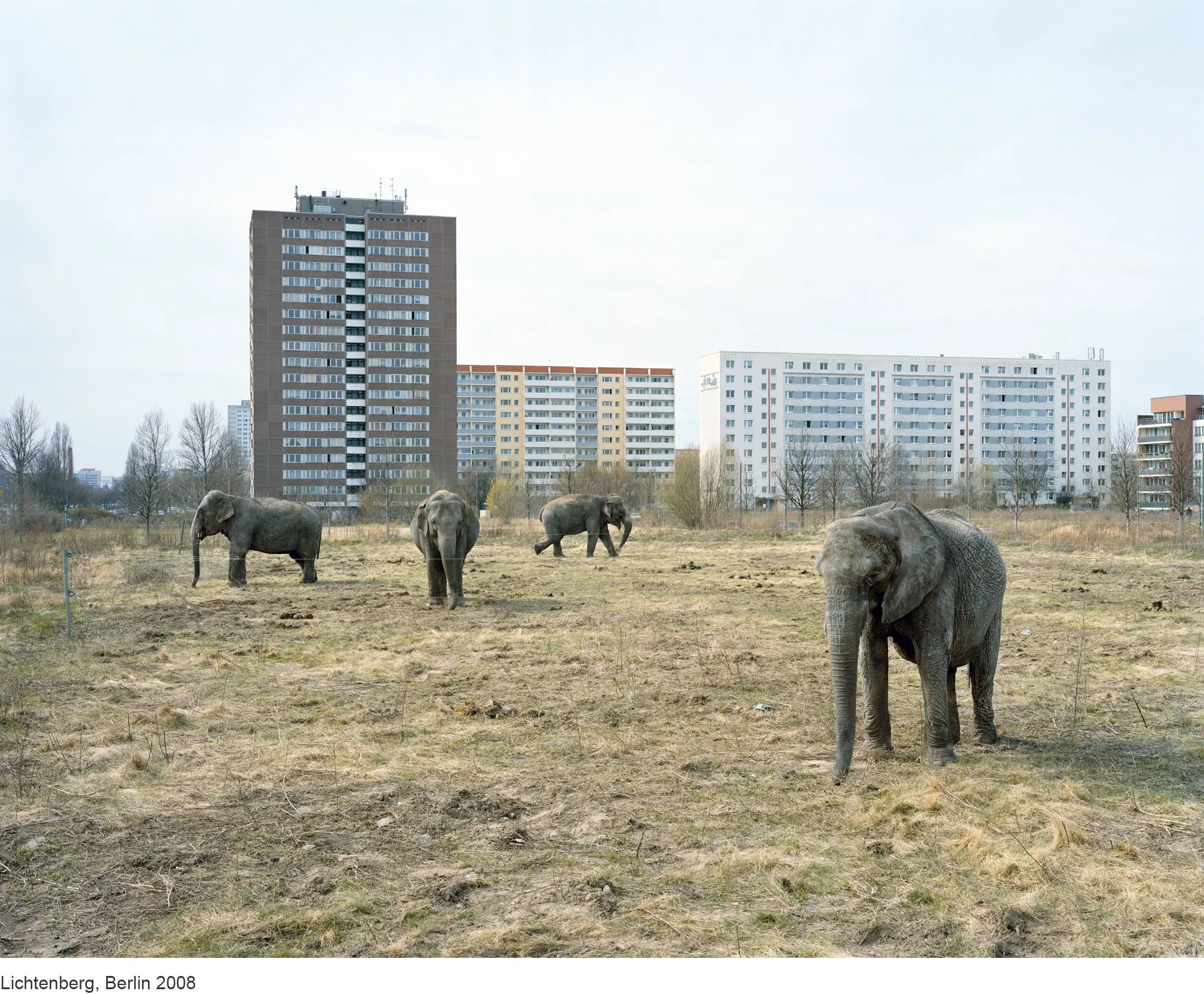 1-Mitch Epstein-Lichtenberg, Berlin 2008.jpg