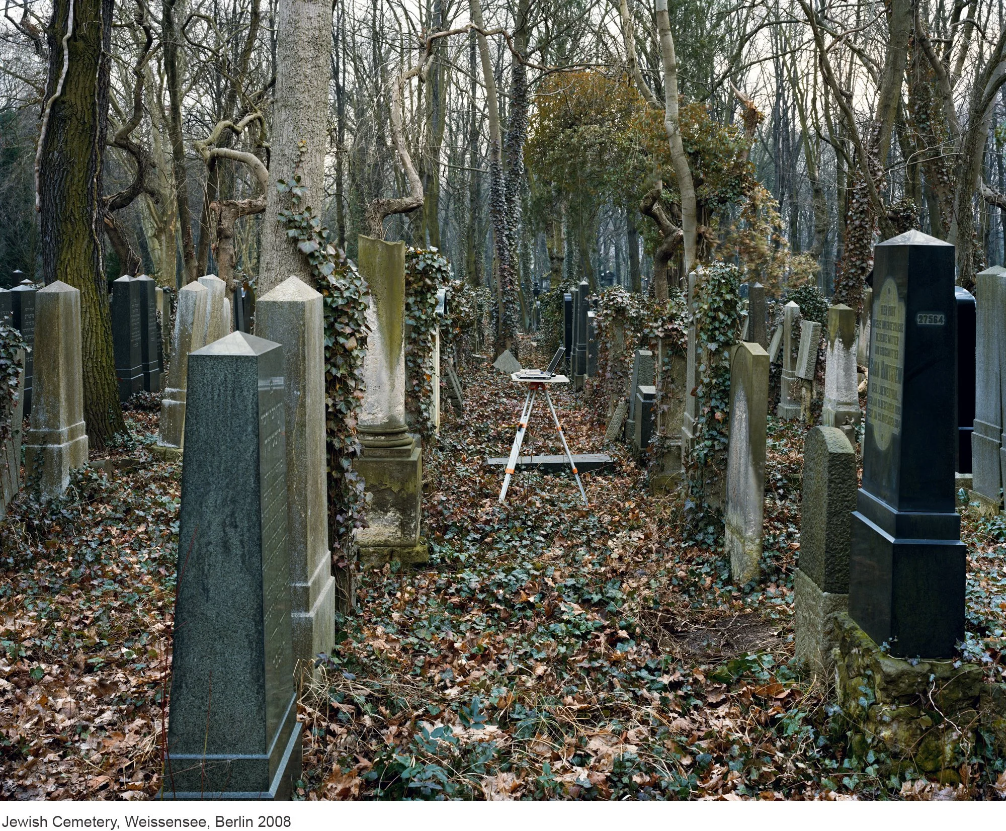 9-Mitch Epstein-Jewish Cemetery, Weissensee, Berlin 2008.jpg