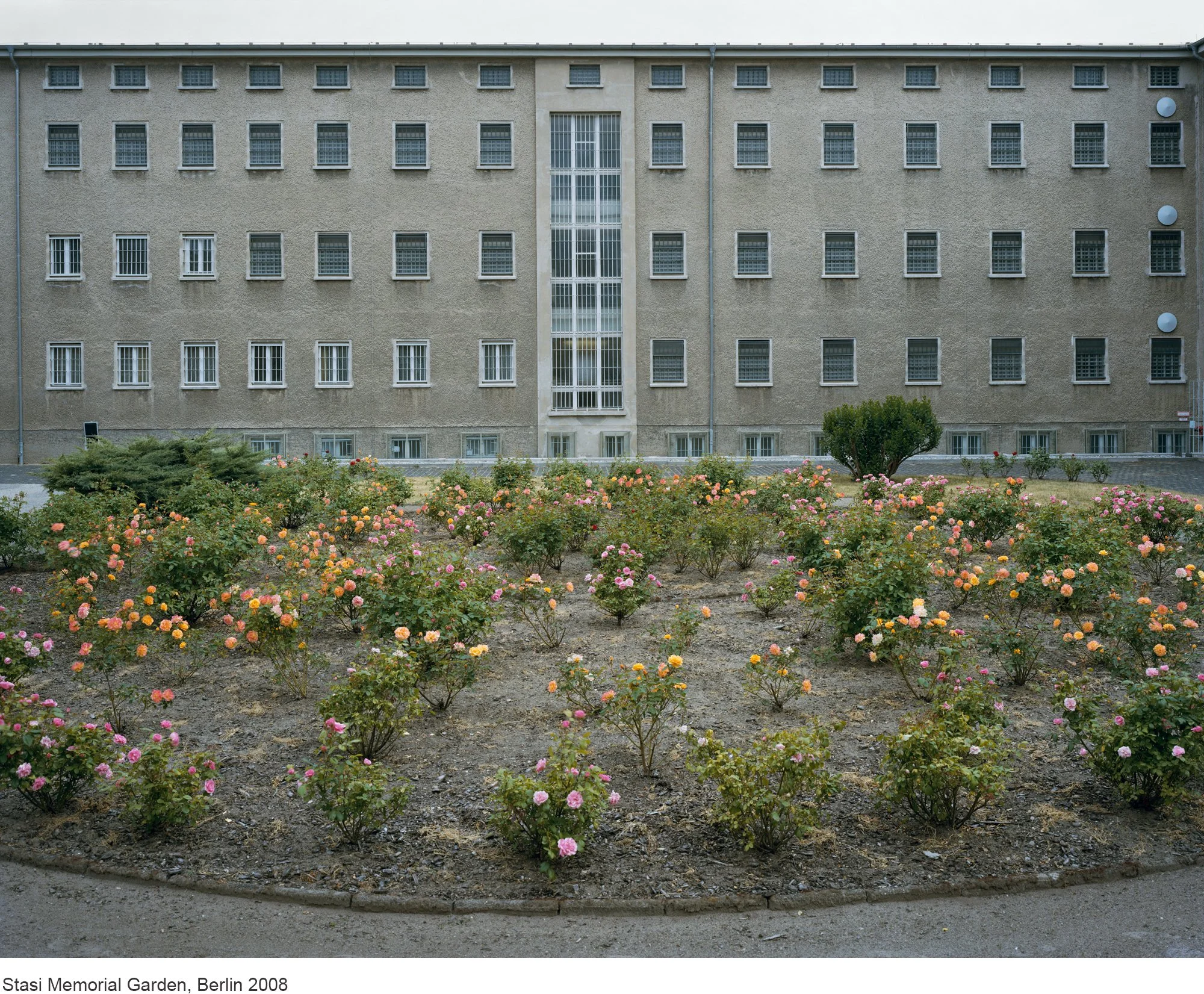 14-Mitch Epstein-Stasi Memorial Garden, Berlin 2008.jpg